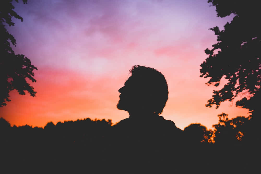Instagram Profile 桌布 壁紙 — 一個男人的剪影，在樹枝框住的鮮豔粉紅與橙色夕陽背景下向上凝視。