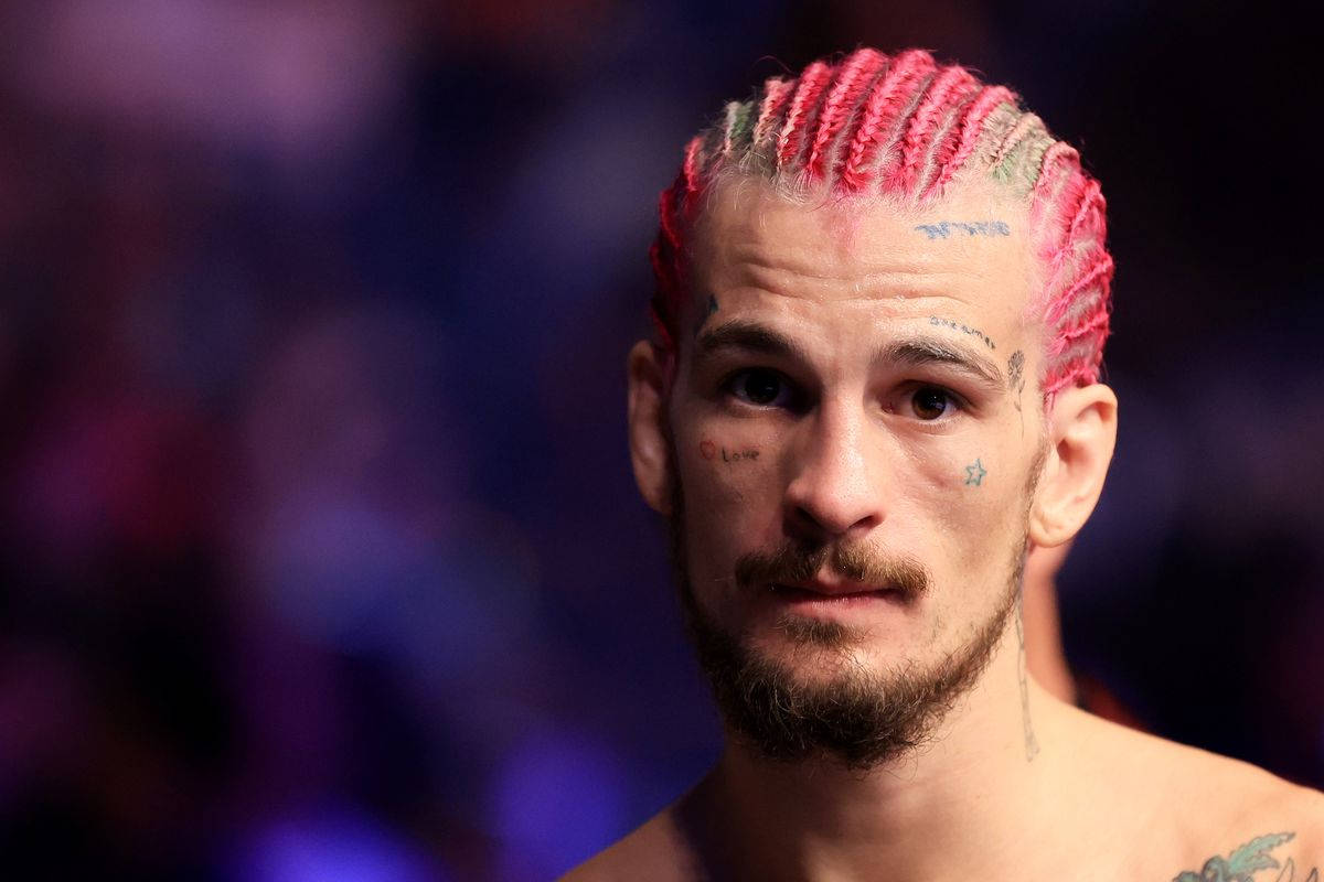 UFC 桌布 壁紙 — 一個男人的特寫肖像，他有充滿活力的粉紅色辮子頭髮和臉部紋身，背景是模糊的彩色。