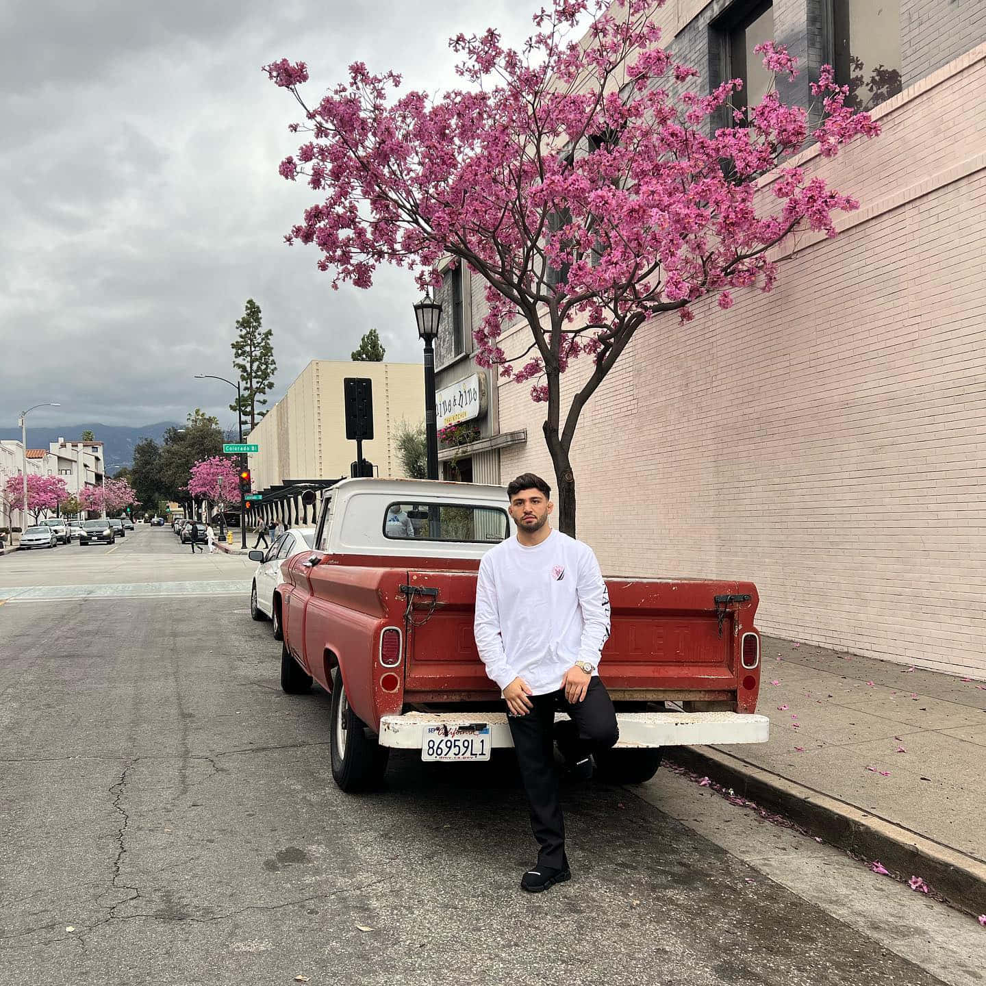 Truck 桌布 壁紙 — 一個男人隨意地靠在一輛停在多雲城市街道旁的復古紅色皮卡車上，旁邊是一棵盛開的粉紅色花樹。