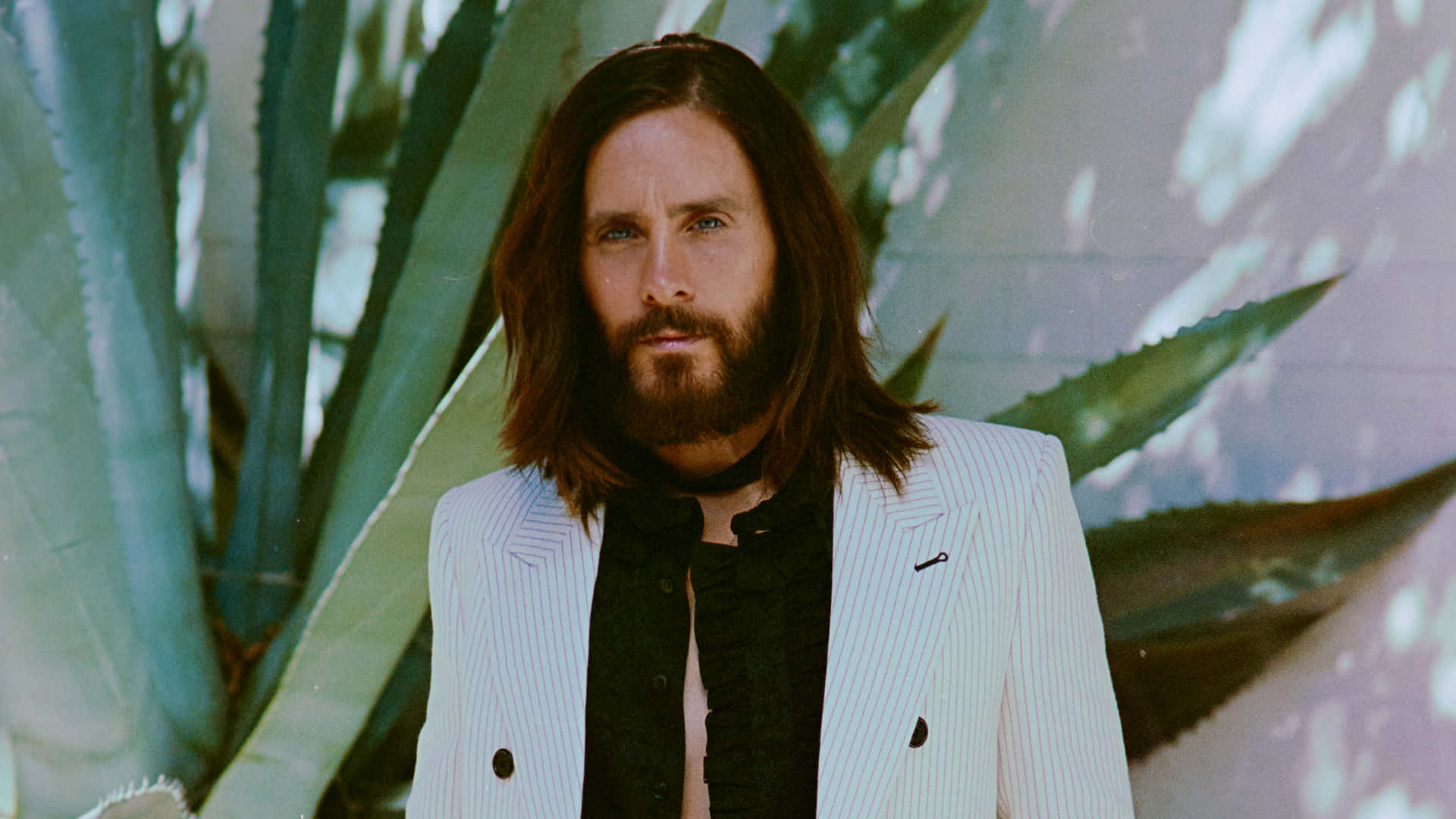 jared leto 桌布 壁紙 — 一個留著棕色長髮和鬍鬚的男人，身穿白色細條紋西裝外套，內搭黑色襯衫，背景是大片綠色多肉植物。