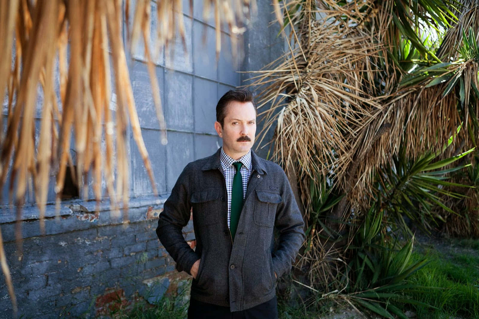 thomas lennon 桌布 壁紙 — 一個留鬍子的男人自信地站在一面風化的藍色牆前，牆邊圍繞著乾燥的棕櫚葉和綠色植物。