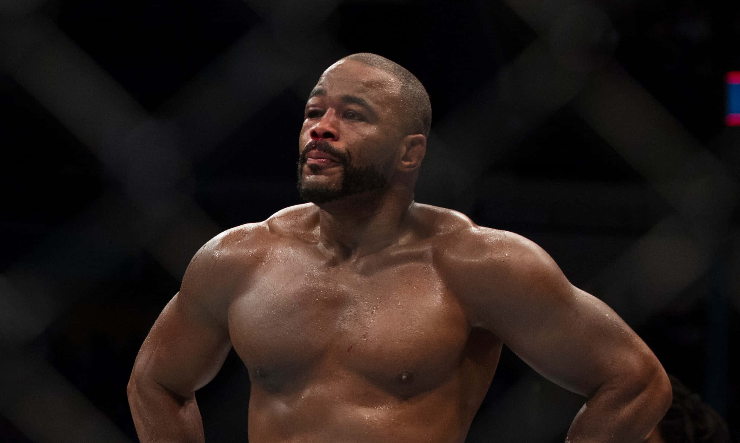 UFC 桌布 壁紙 — 一個留鬍子的肌肉戰士站在黑暗的八角籠內，汗水在明亮的競技場燈光下閃閃發光。