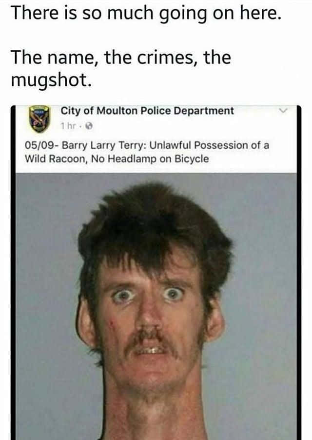 Stupid Funny 桌布 壁紙 — 一個留鬍子的驚嚇男子在警察大頭照中瞪大眼睛，附帶關於擁有一隻野生浣熊和腳踏車沒有頭燈的幽默說明。