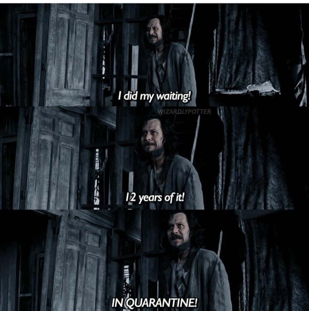 Funny Harry Potter 桌布 壁紙 — 一個留鬍鬚的男人站在昏暗的木房間裡，大喊著在隔離中等待了兩年。
