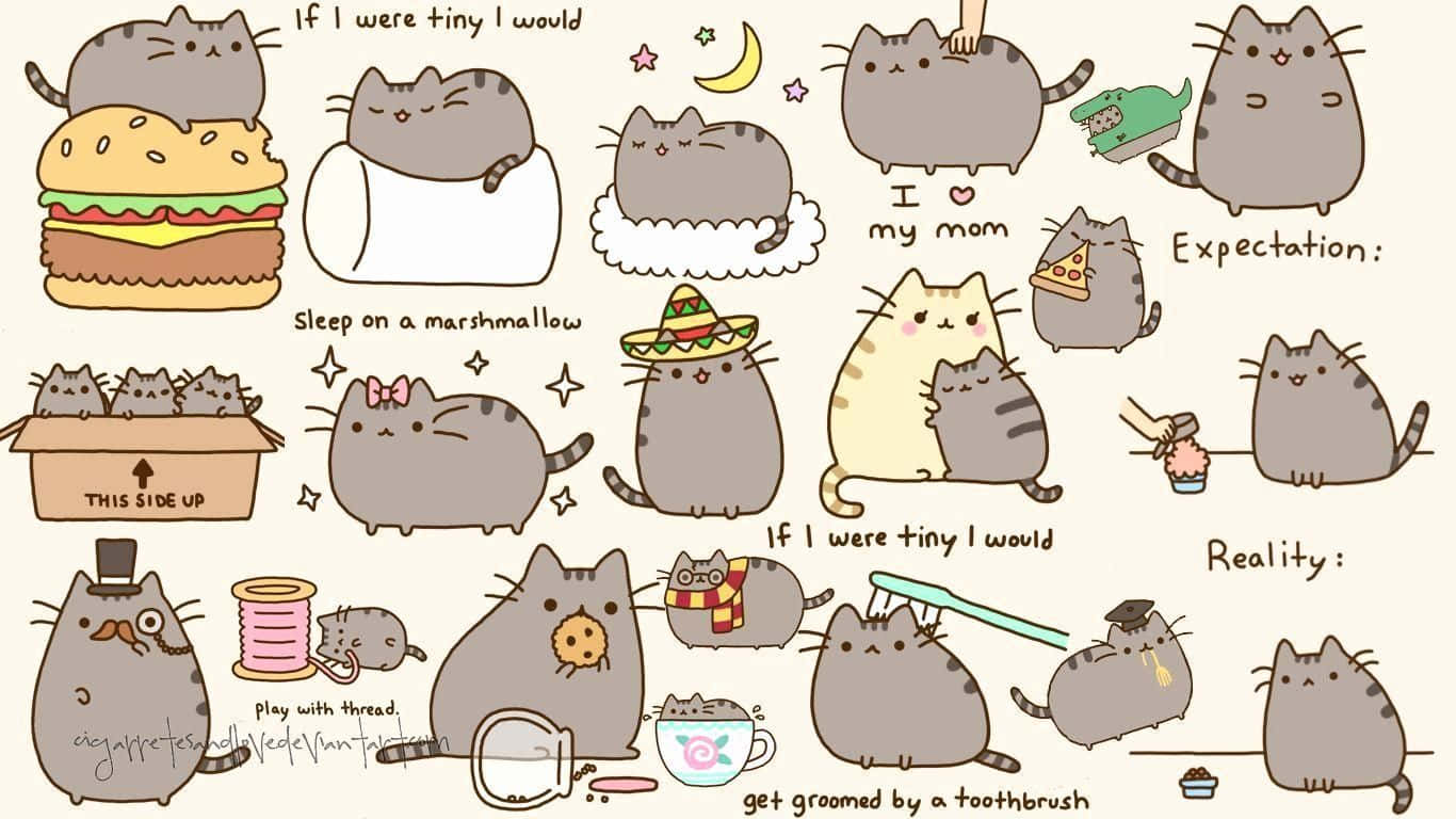 Kawaii Pusheen 桌布 壁紙 — 一個異想天開的收藏，包含 Pusheen 貓在各種可愛場景中配上幽默標題。