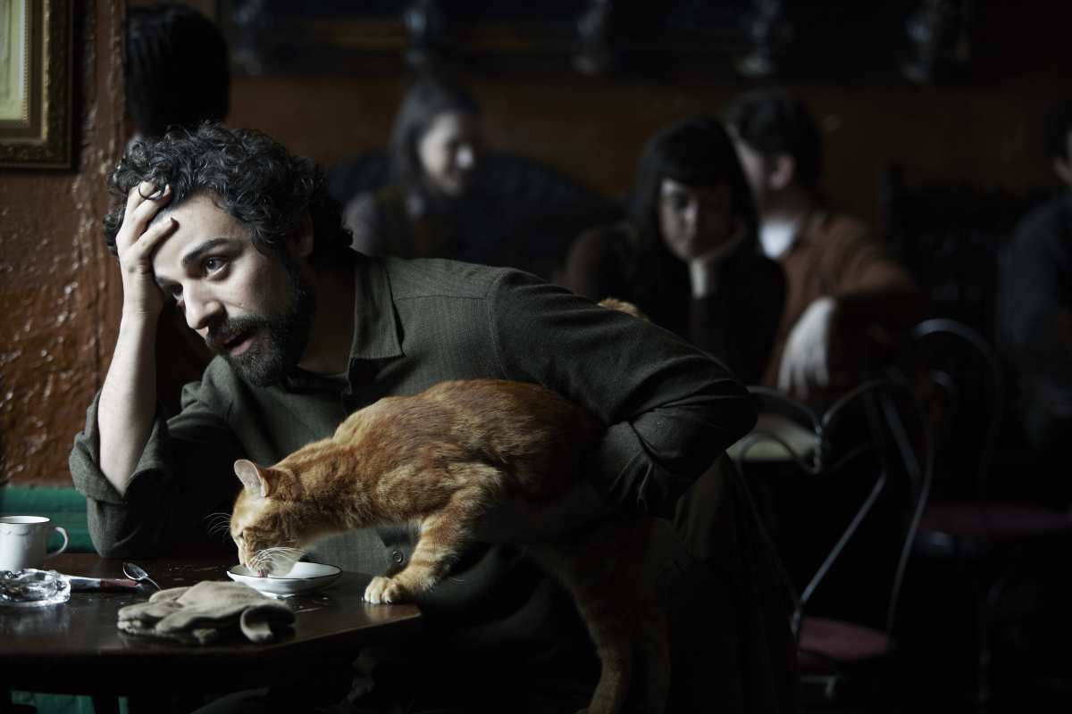 inside llewyn davis 桌布 壁紙 — 一個疲憊的男人在昏暗的咖啡館裡休息，頭靠在桌上，一隻橘貓正在他桌上的碟子裡喝水。
