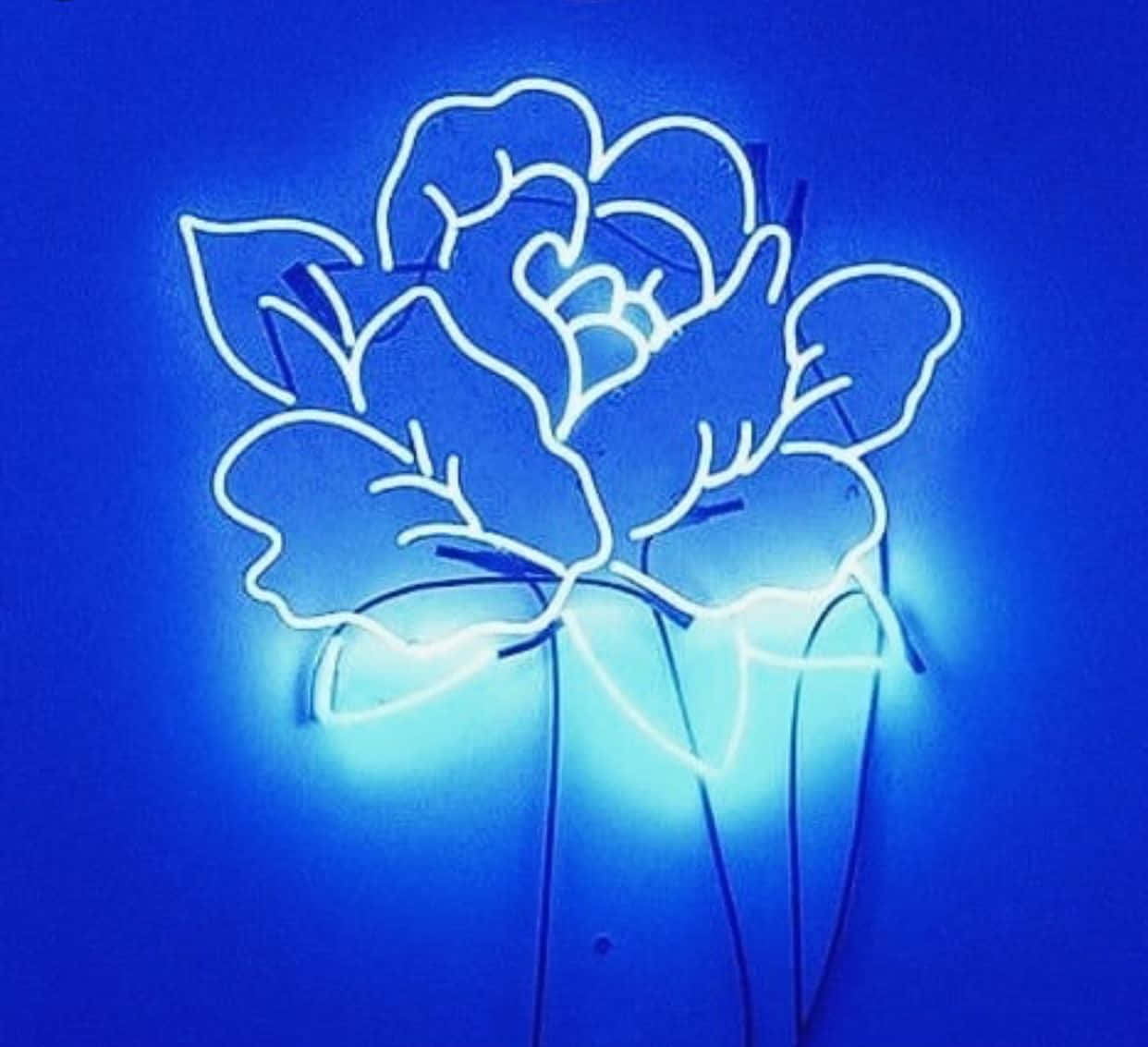 霓虹藍美學 桌布 壁紙 — 一個發光白色霓虹輪廓的風格化花朵，帶有層疊花瓣和葉子，背景是深藍色牆壁。