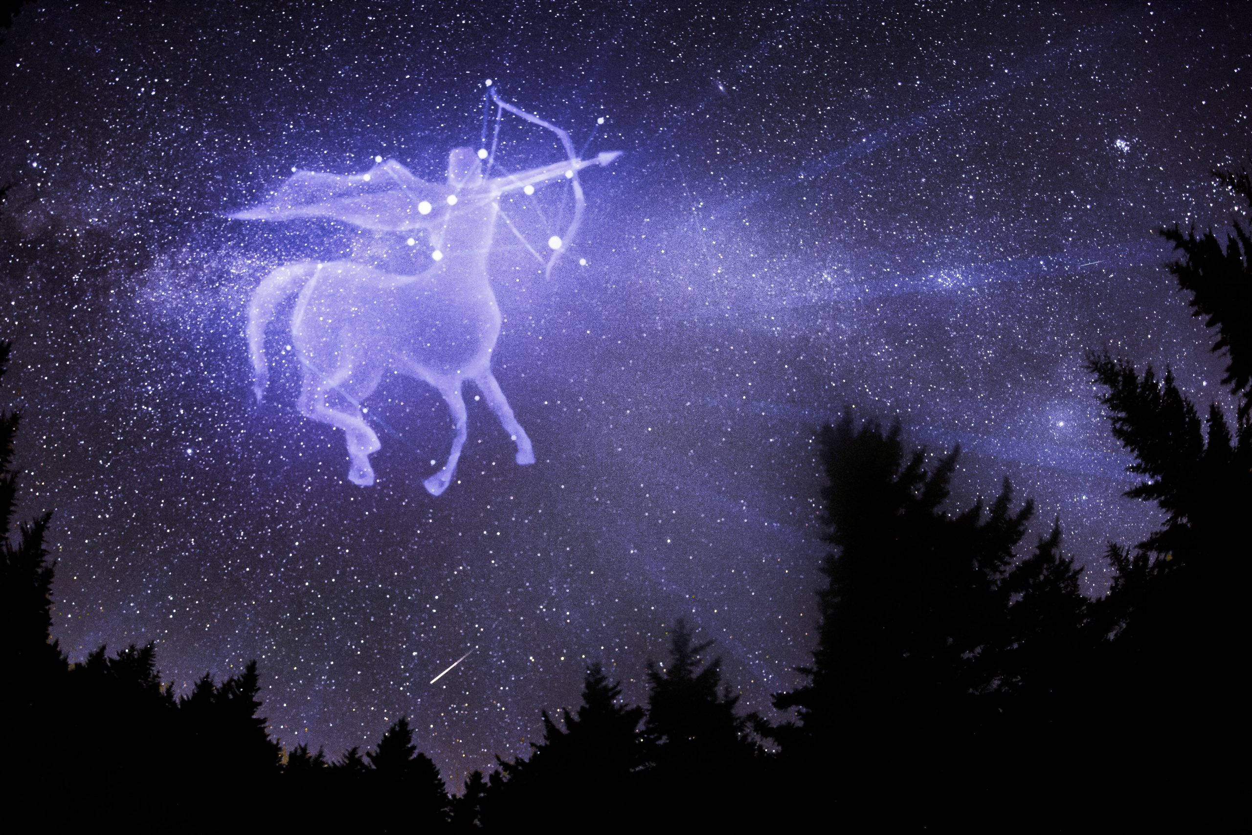sagittarius 桌布 壁紙 — 一個發光的人馬座星座在佈滿星星的紫色夜空上彎曲，越過黑暗的松樹剪影。