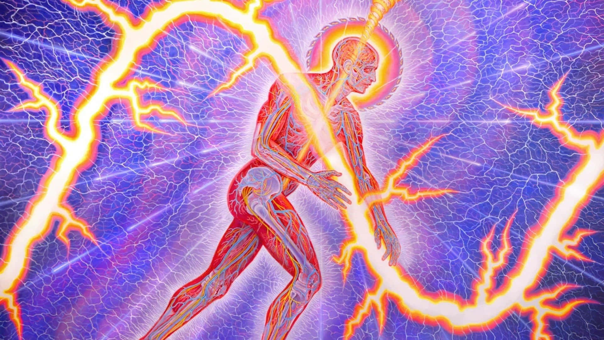 桌布 壁紙 — 一個發光的人體，內部器官清晰可見，被鮮豔的橙色閃電包圍，背景是噼啪作響的紫色。