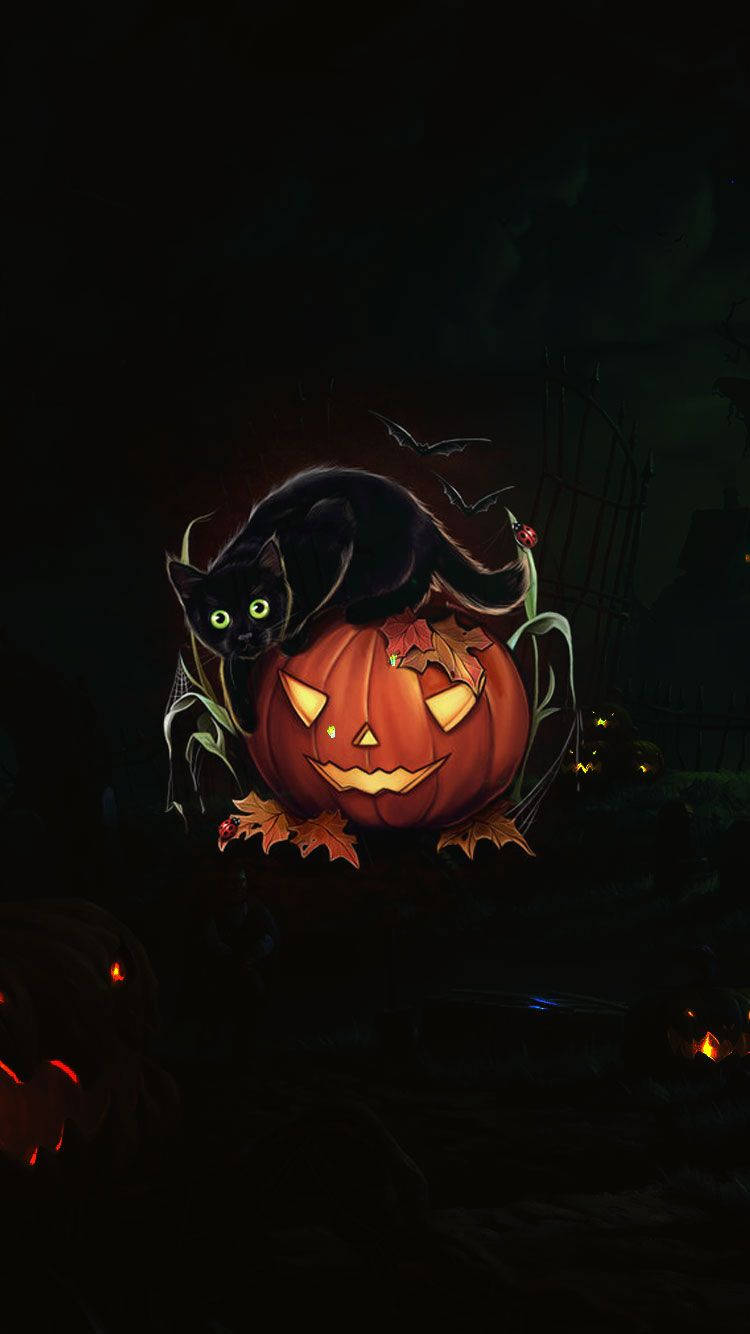 Pumpkin 桌布 壁紙 — 一個發光的傑克南瓜燈，上面有一隻黑貓棲息在黑暗陰森的萬聖節夜晚場景中。