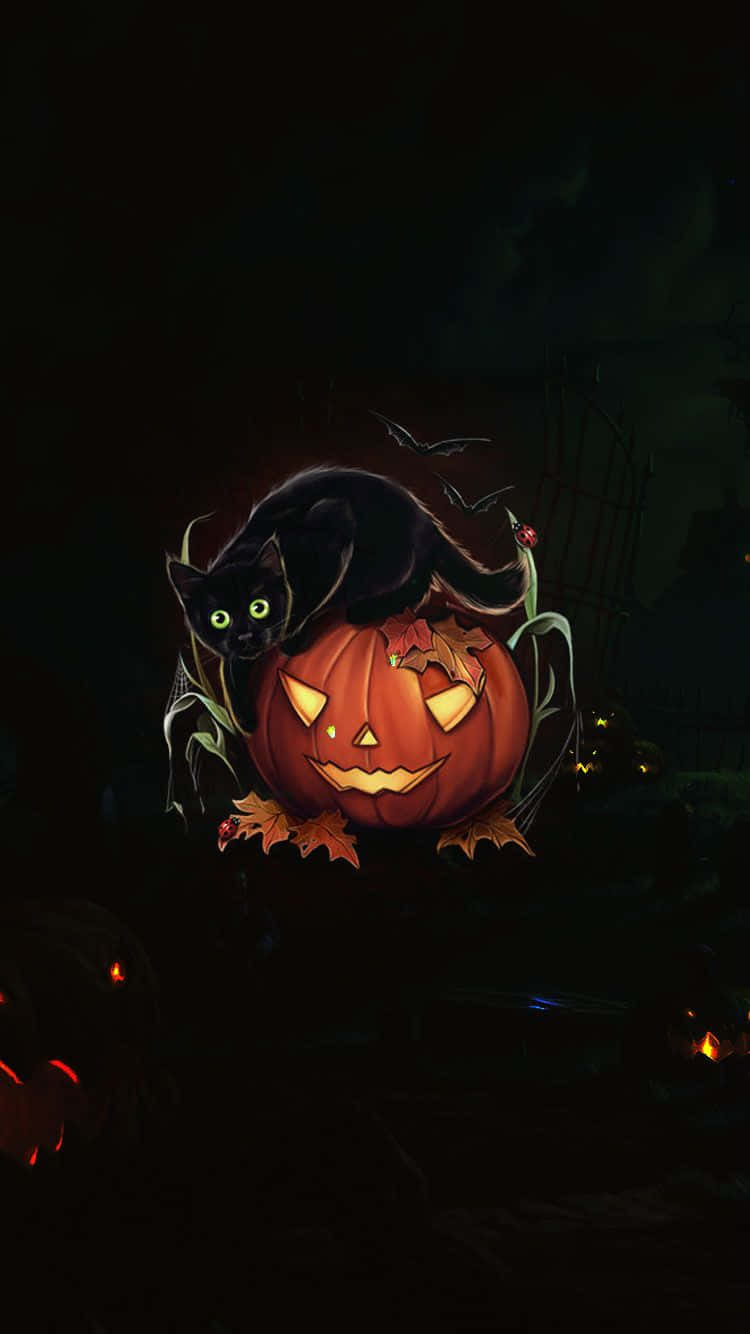Spooky iPhone 桌布 壁紙 — 一個發光的傑克南瓜燈，上面棲息著一隻黑貓，在黑暗詭異的萬聖節夜晚場景中。