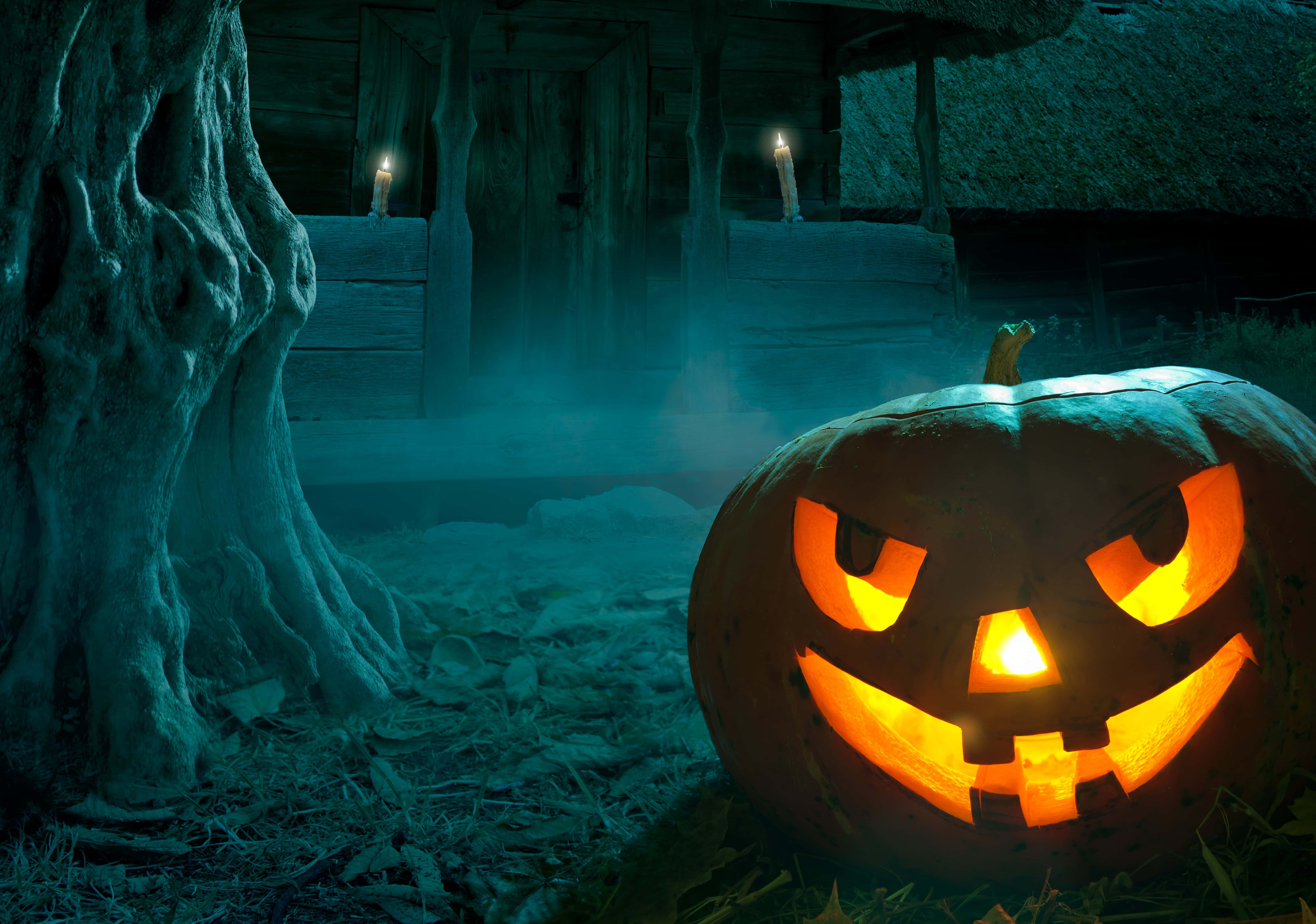 Minimalist Halloween 桌布 壁紙 — 一個發光的傑克南瓜燈，帶著邪惡的笑容，在夜晚的霧氣森林空地中，坐在一棵扭曲的樹和一座質樸的小屋旁邊。