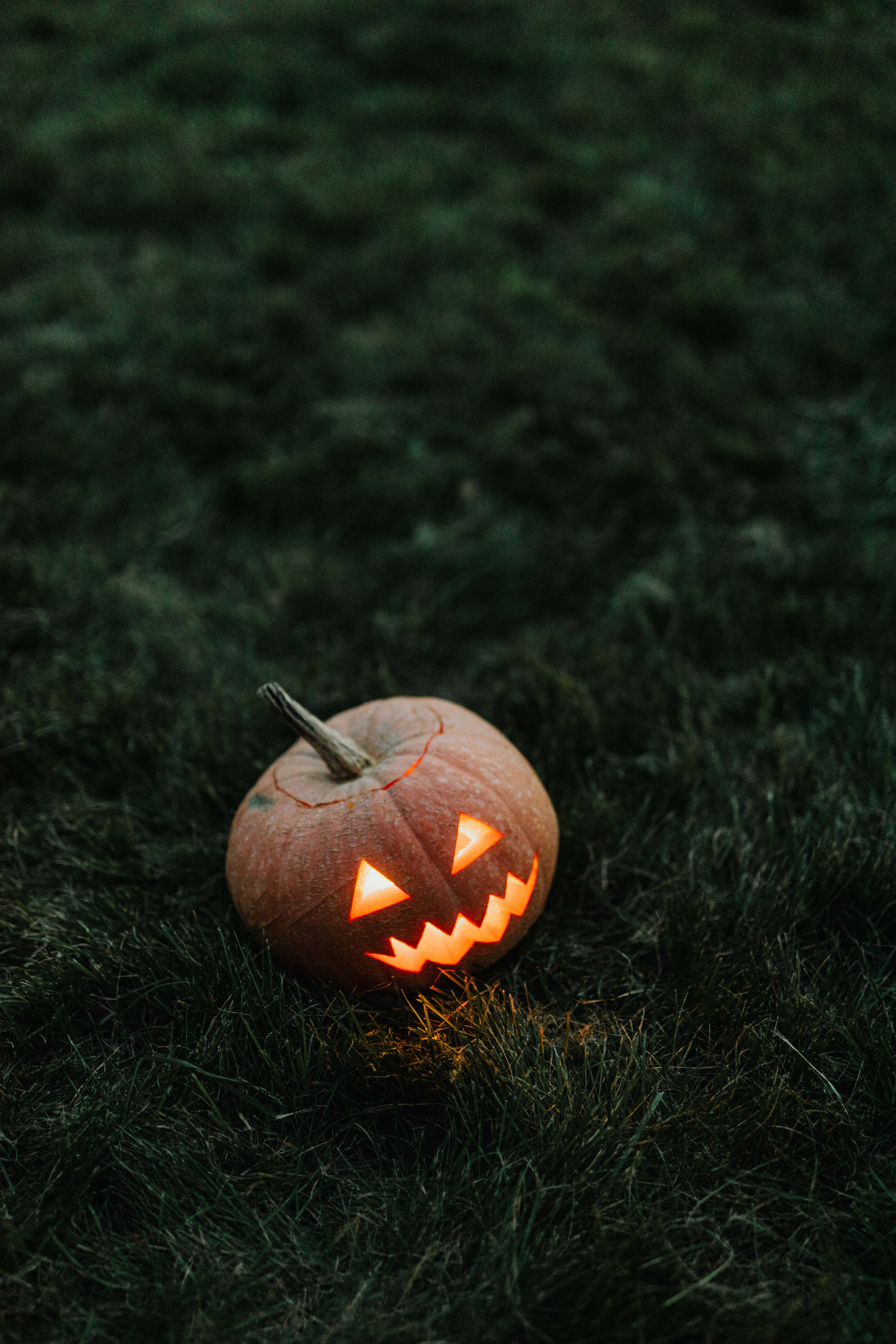 Jack O Lantern 桌布 壁紙 — 一個發光的傑克南瓜燈，帶著鋸齒狀的笑容，在昏暗的光線下躺在深色的草地上。