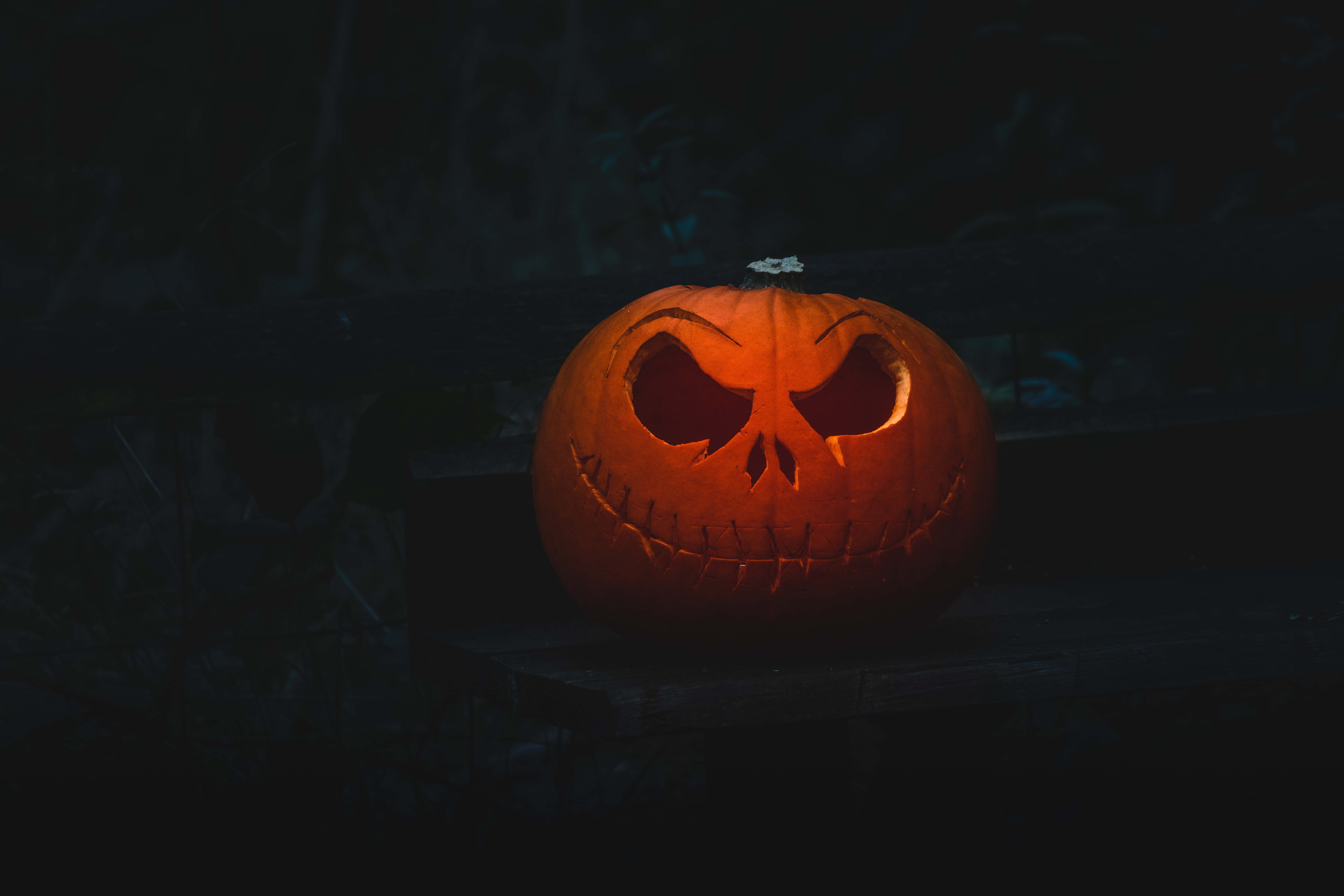 jack o'lantern 桌布 壁紙 — 一個發光的傑克南瓜燈，縫合的嘴巴和憤怒的眼睛，獨自坐在黑暗中的木長椅上。
