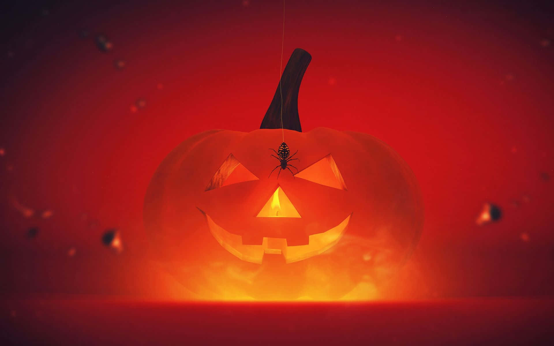 Funny Halloween 桌布 壁紙 — 一個發光的傑克南瓜燈，臉上有一隻蜘蛛，掛在深紅色朦朧的背景上。