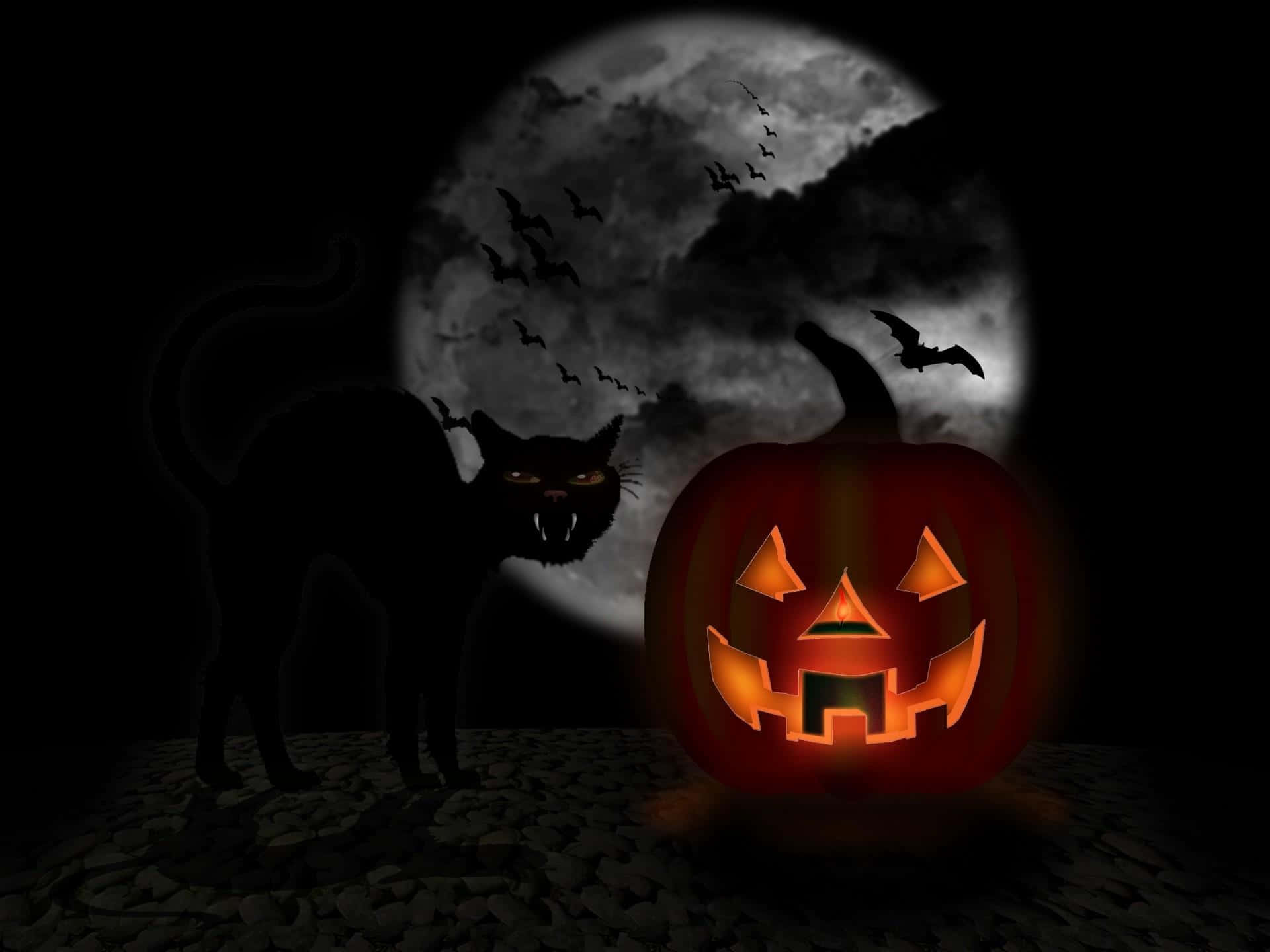 3d Halloween 桌布 壁紙 — 一個發光的傑克南瓜燈和一個威脅性的黑貓剪影站在滿月前，有飛行的蝙蝠。