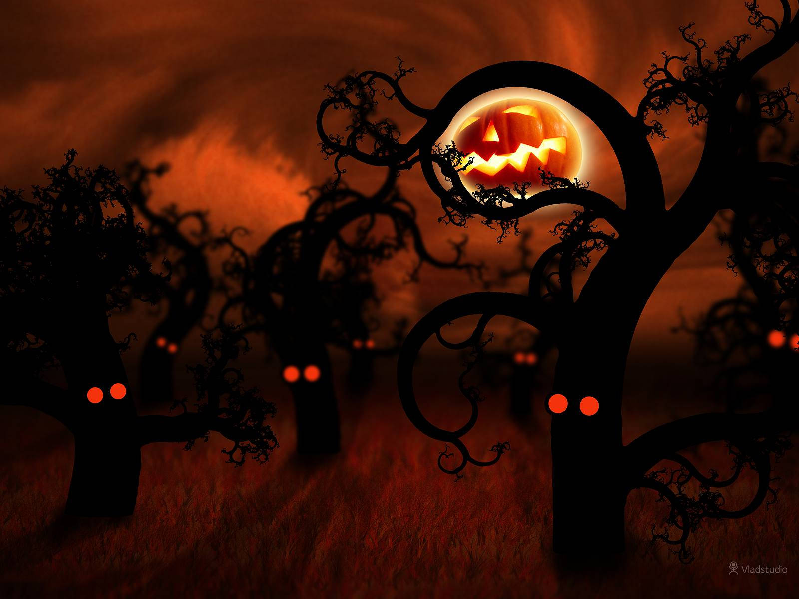 Dark Halloween 桌布 壁紙 — 一個發光的傑克南瓜燈月亮穿過扭曲的樹木，在熾熱的橙色鬼森林中窺視。