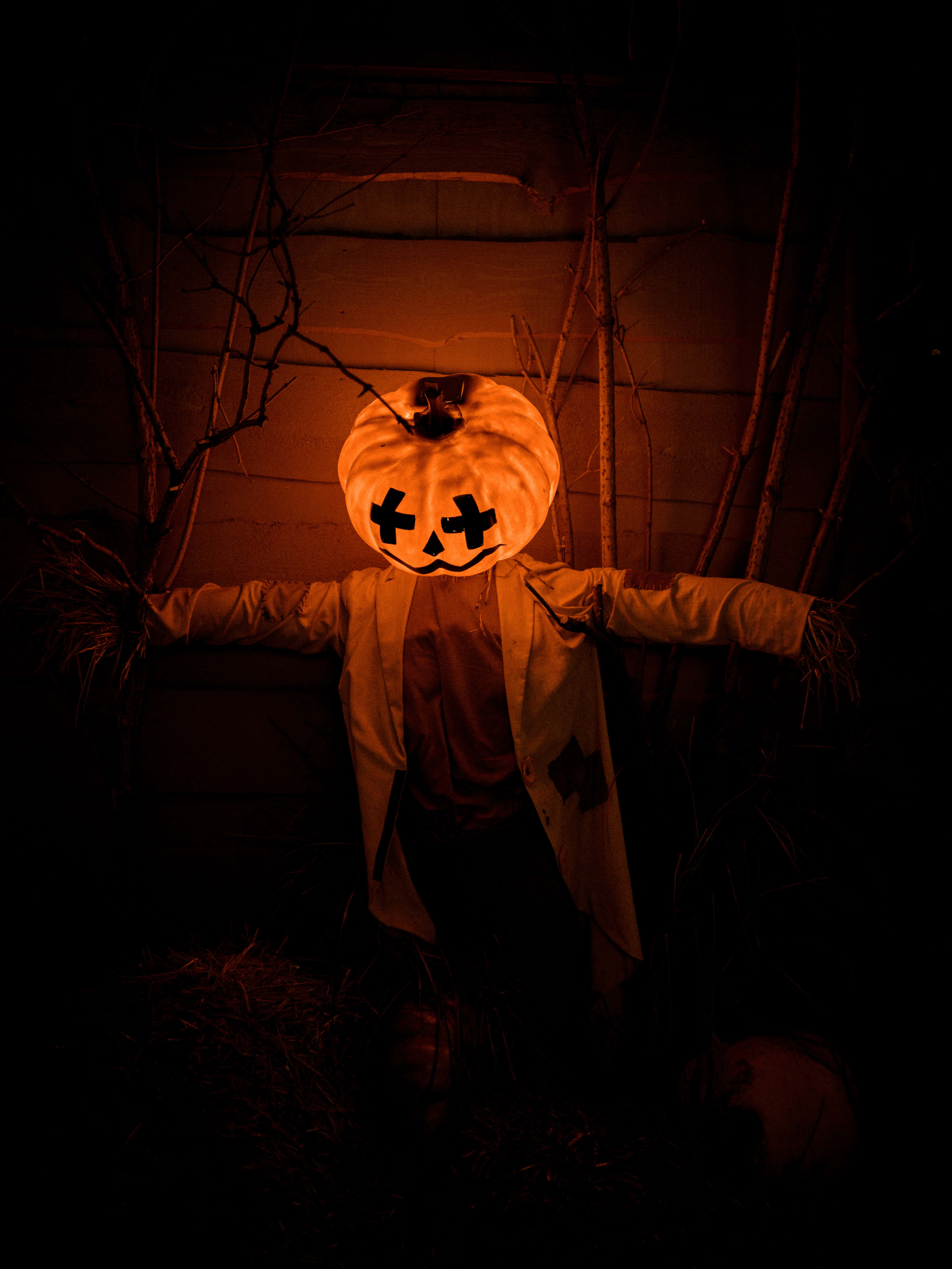 Halloween Pumpkin 桌布 壁紙 — 一個發光的傑克南瓜燈頭稻草人站在黑暗中，背後有光禿禿的樹枝和木牆。