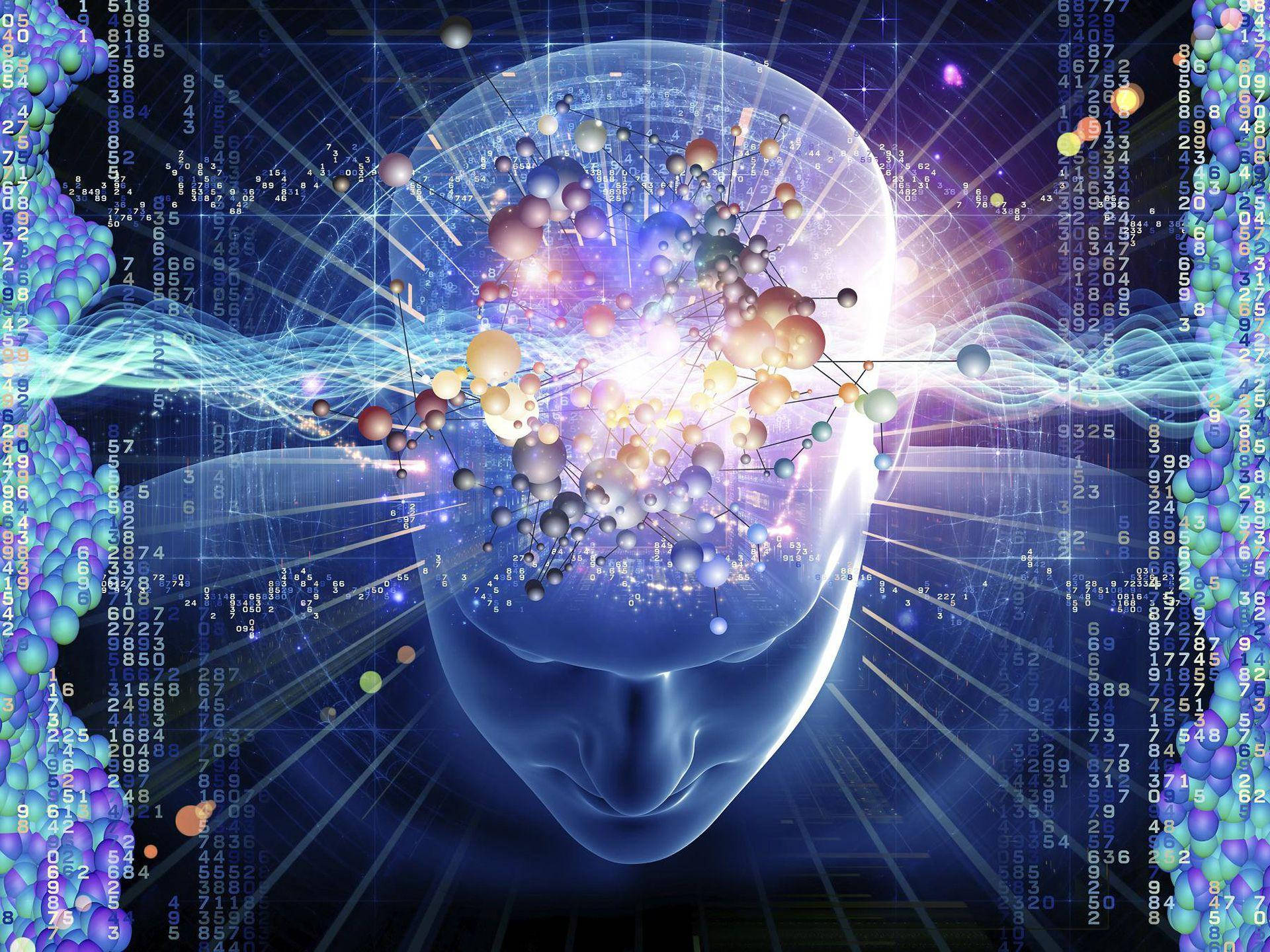 Brain 桌布 壁紙 — 一個發光的半透明人頭，內部及周圍有彩色分子結構和數據流在黑暗的數位背景中旋轉。