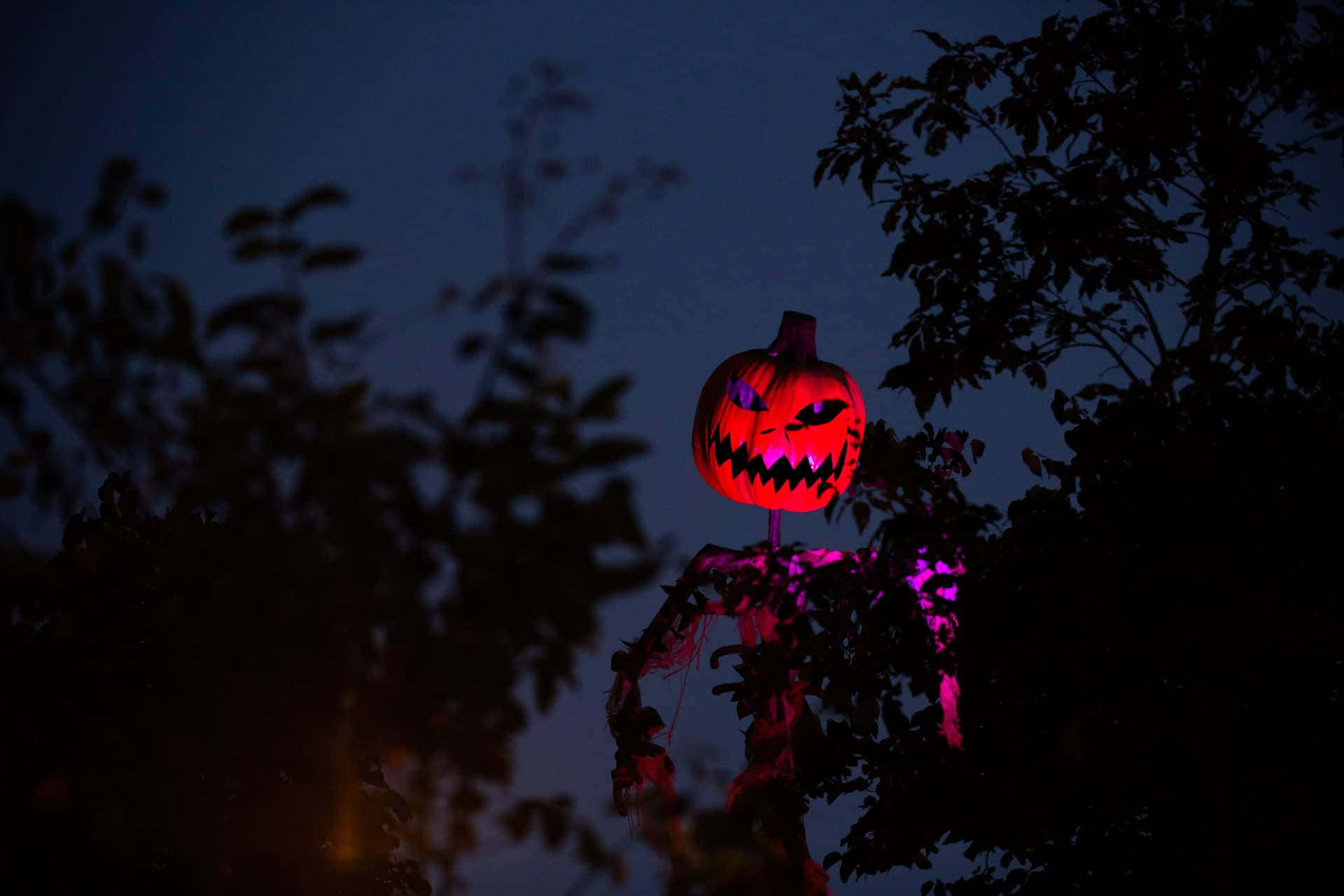 Spooky Halloween 桌布 壁紙 — 一個發光的南瓜，帶有鋸齒狀牙齒和紫色眼睛，棲息在一個陰森的稻草人剪影上，背景是暮色天空。