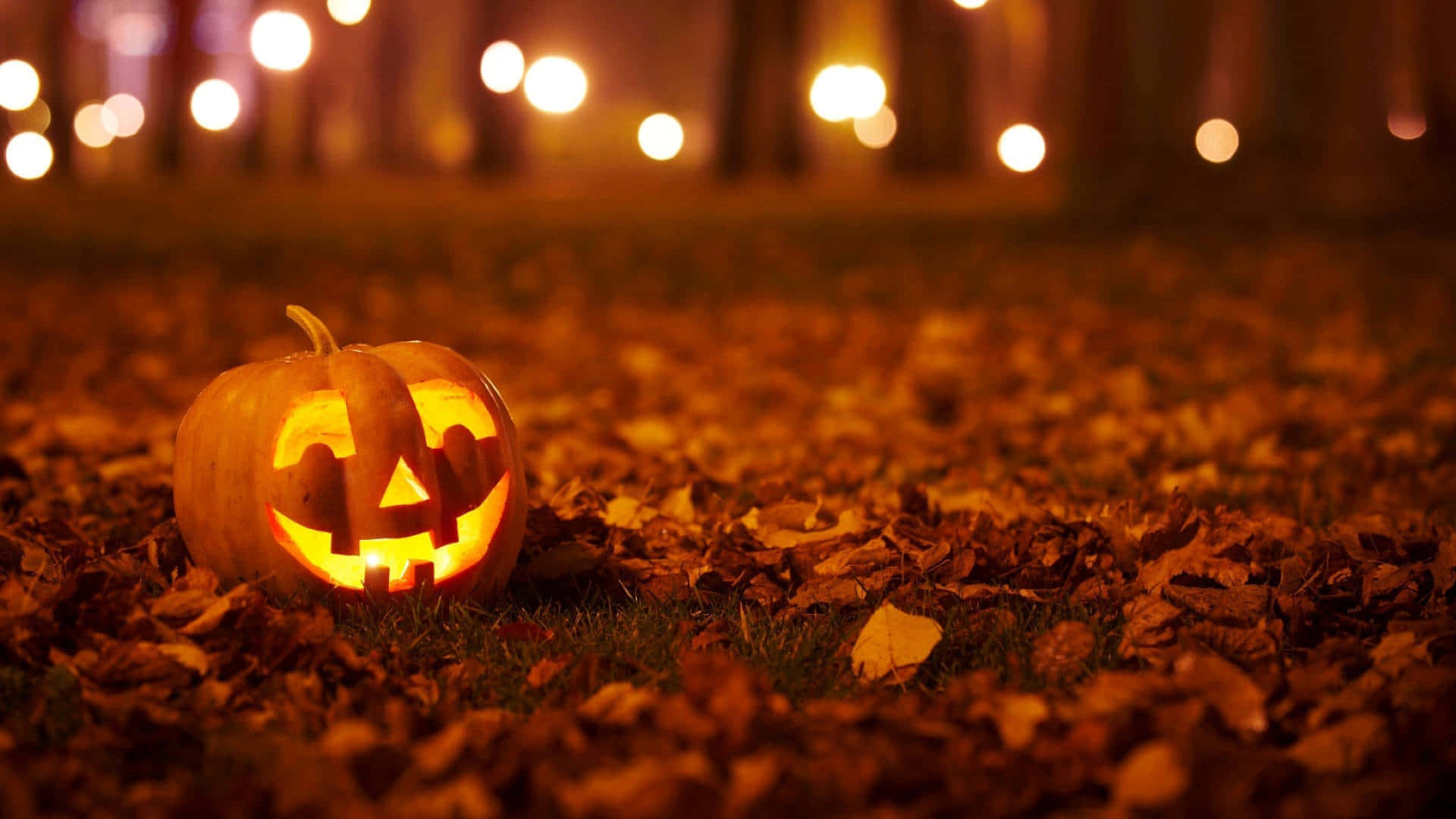 Pumpkin Halloween 桌布 壁紙 — 一個發光的南瓜，帶有雕刻的笑容，坐在森林夜晚溫暖散景燈光下的秋葉地毯上。