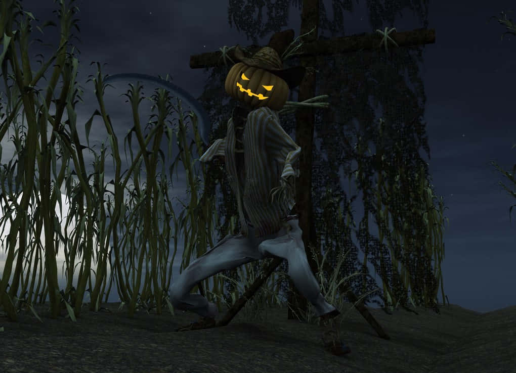 Scarecrows 桌布 壁紙 — 一個發光的南瓜頭稻草人在繁星點點的夜空下，陰森地站在黑暗的玉米田裡。