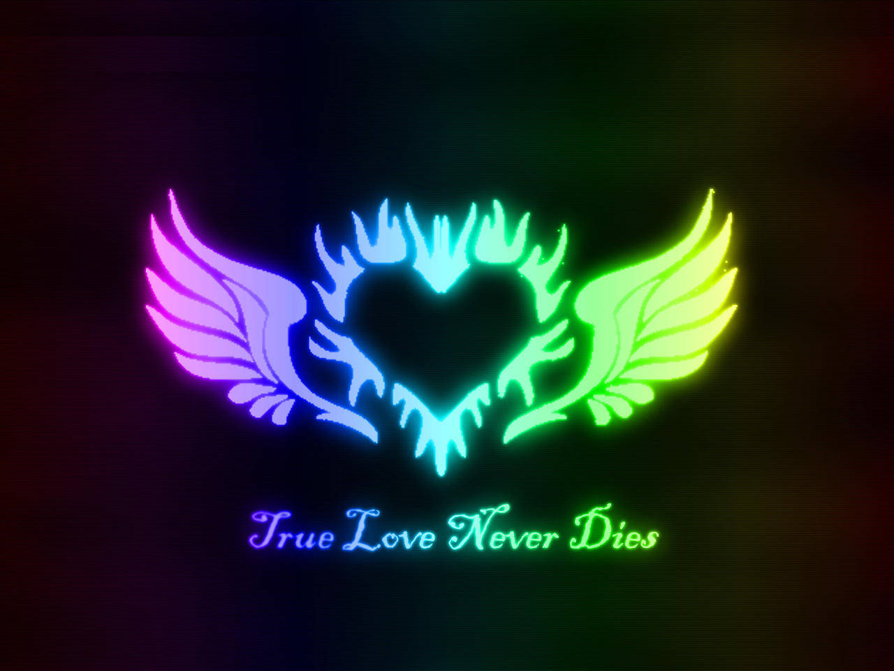 Heart 桌布 壁紙 — 一個發光的彩虹心形帶翅膀，在深色漸變背景上散發霓虹光芒，並帶有文字 True Love Never Dies。