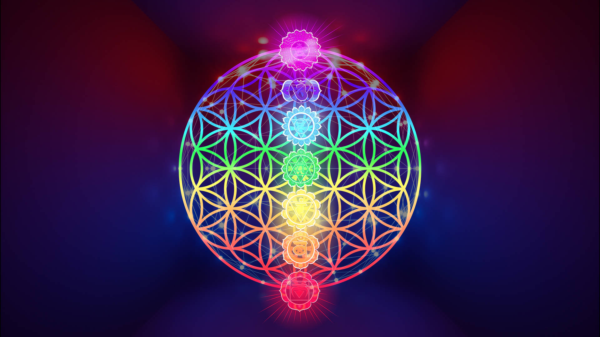chakra 桌布 壁紙 — 一個發光的彩虹生命之花幾何圖案，七個脈輪在深紫色背景上散發光芒。