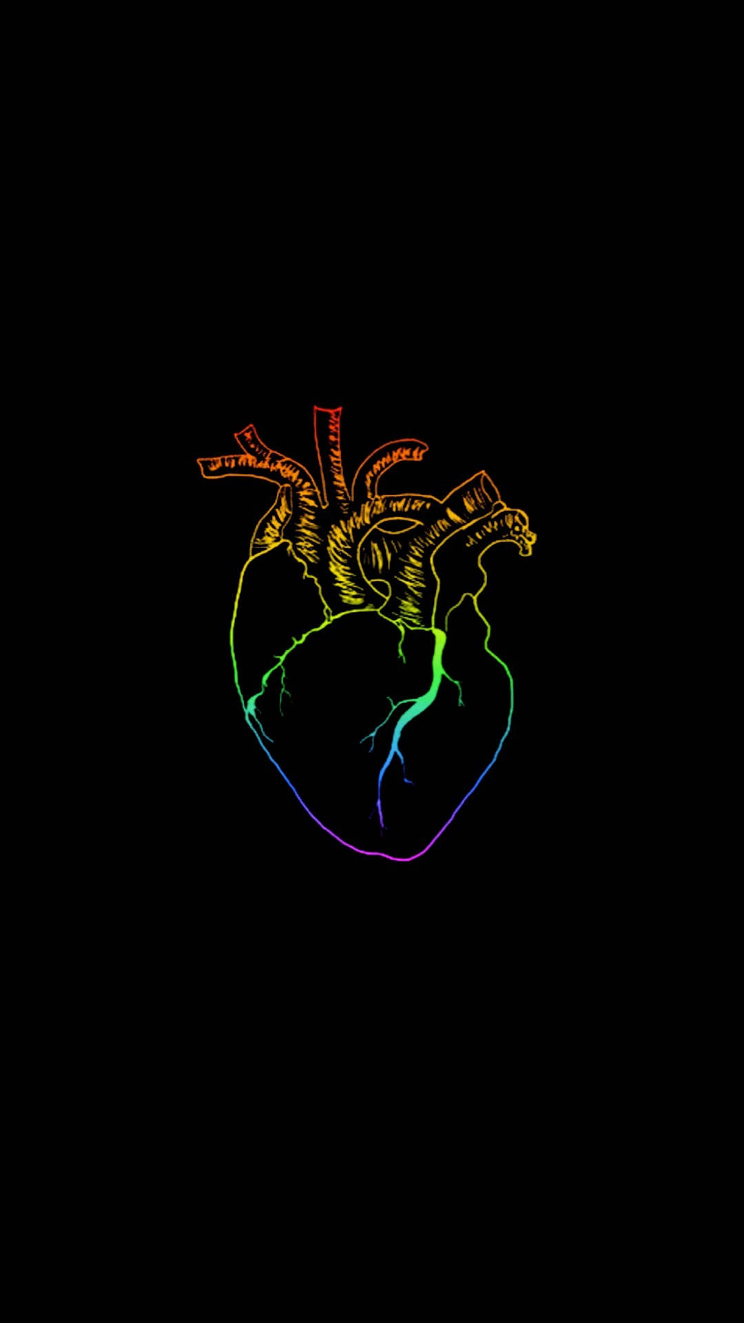 Lgbt 桌布 壁紙 — 一個發光的彩虹色解剖心臟插圖，以霓虹色調勾勒在純黑色背景上。