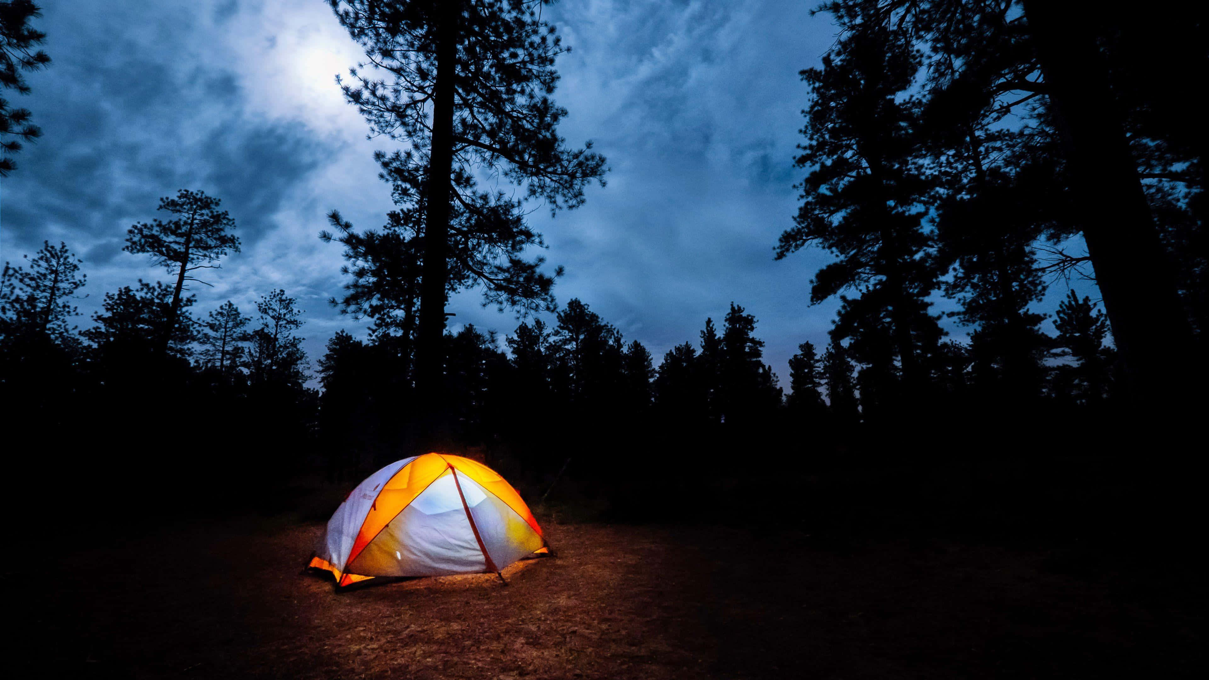 Camping 桌布 壁紙 — 一個發光的橙色和白色帳篷照亮了月光下黑暗的森林地面，周圍是剪影般的松樹。