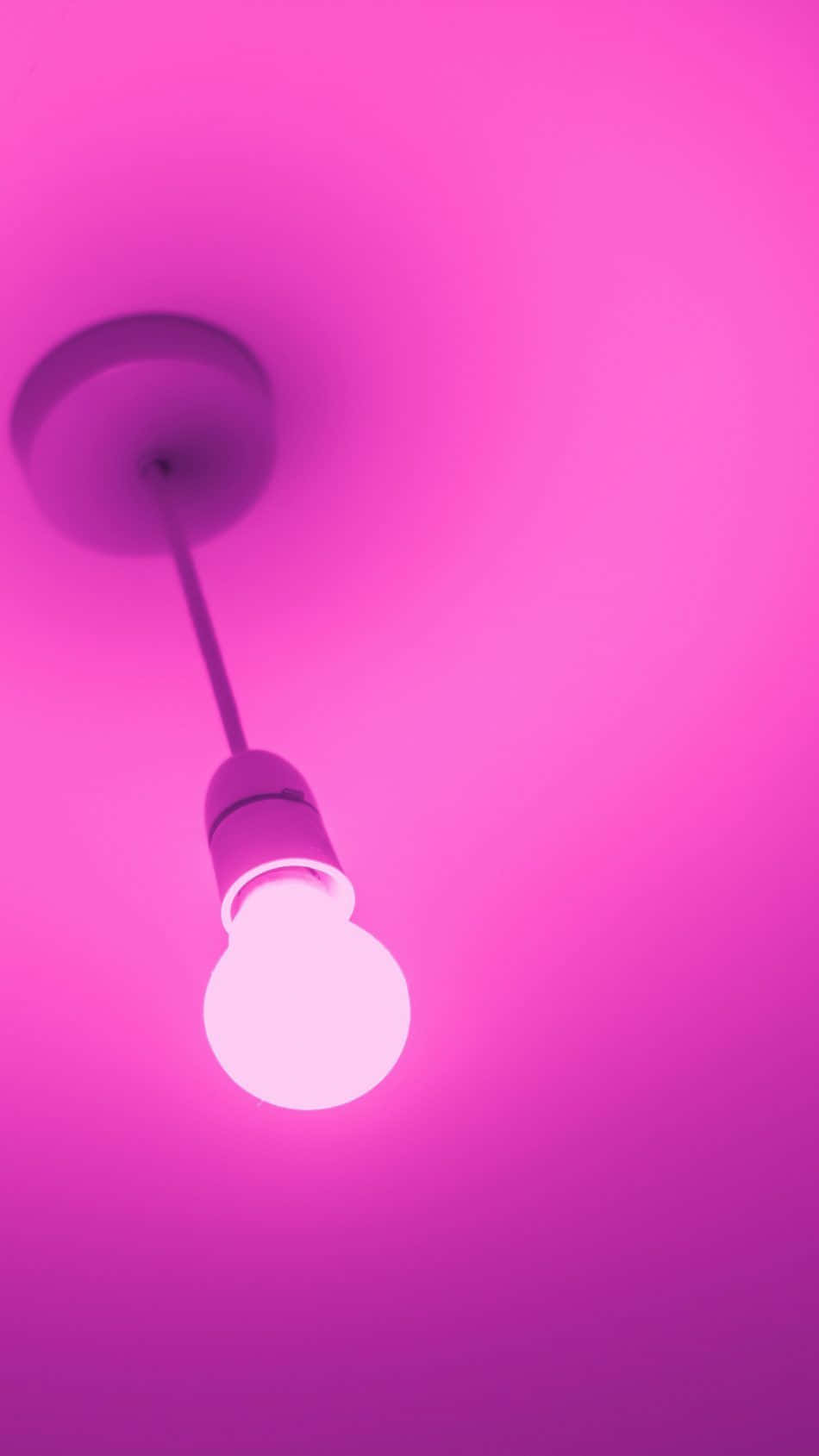 Simple Pink 桌布 壁紙 — 一個發光的燈泡懸掛在充滿鮮豔粉紅色環境光的天花板上。