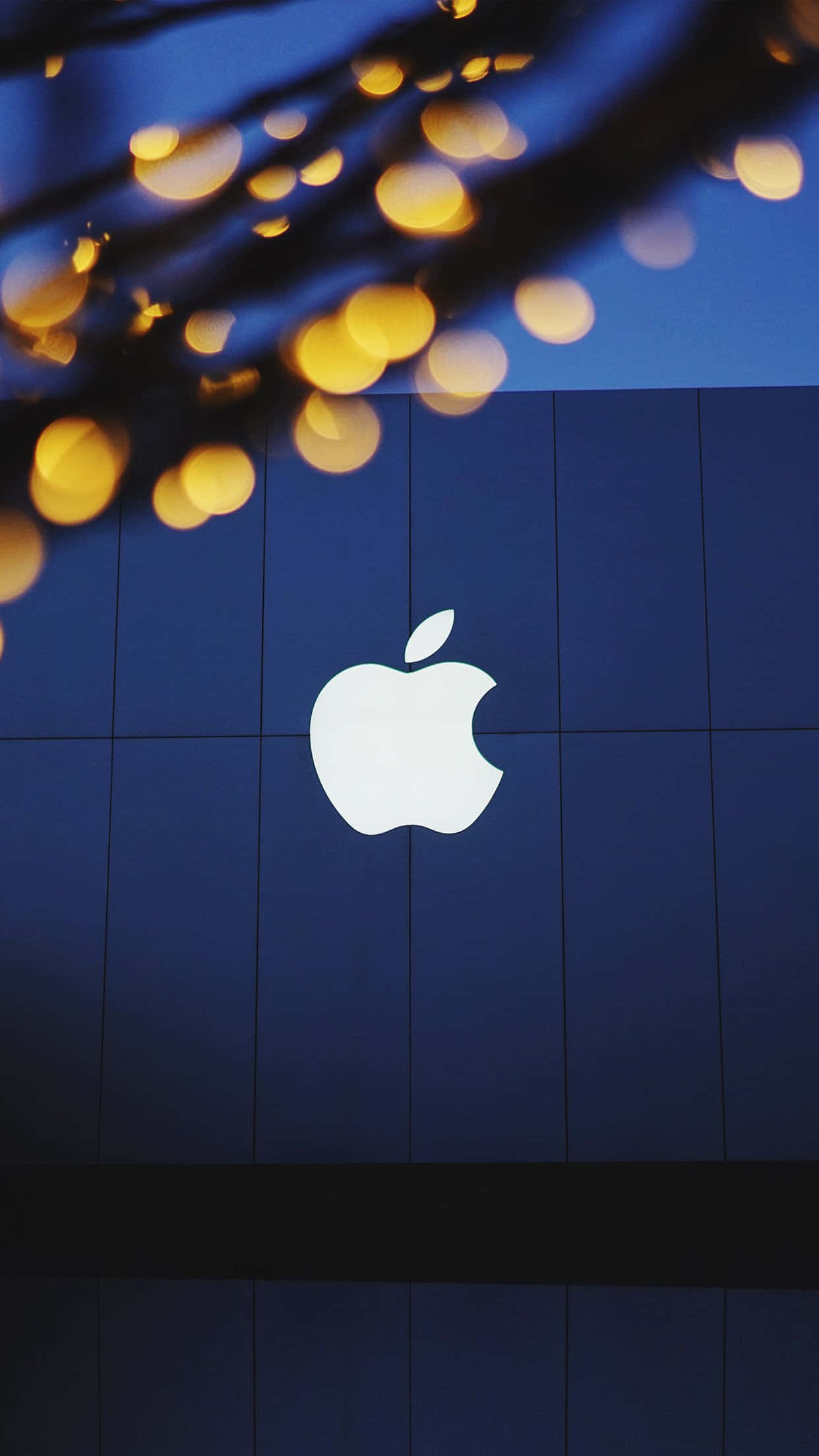 iPhone 13 桌布 壁紙 — 一個發光的白色Apple標誌，位於深藍色瓷磚牆中央，上方樹枝灑下金色散景燈光。