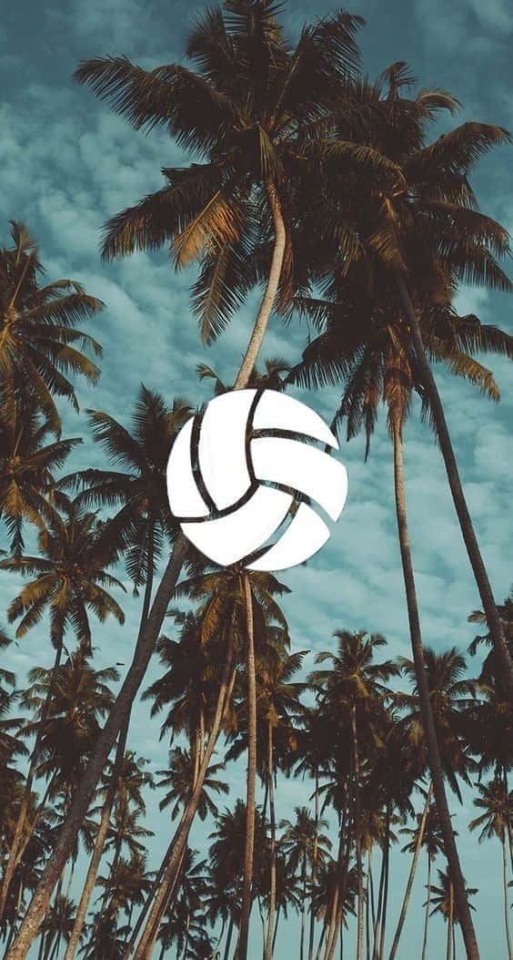 Cute Volleyball 桌布 壁紙 — 一個發光的白色排球漂浮在高聳的棕櫚樹之間，背景是陰鬱的藍綠色天空。