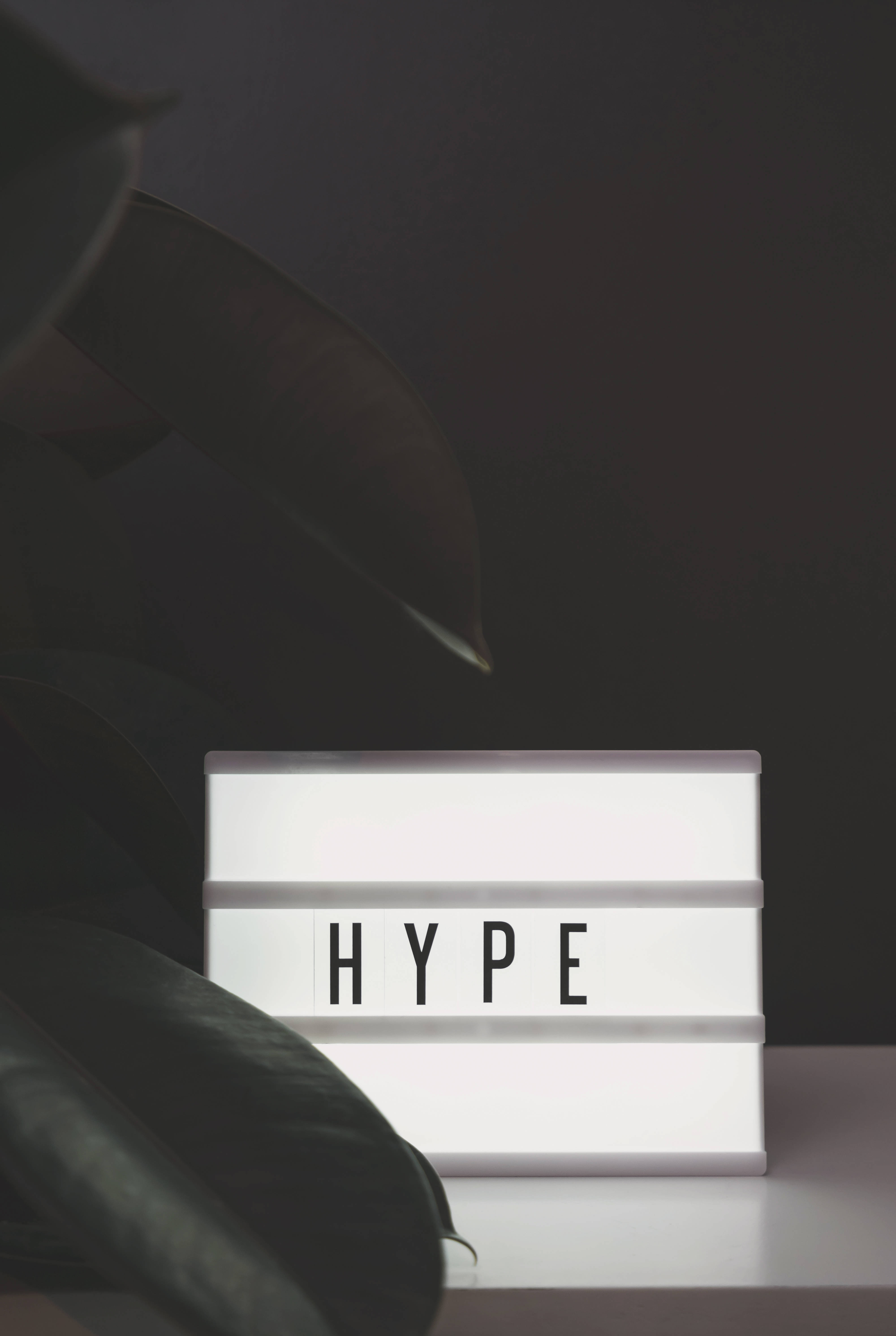 黑白 桌布 壁紙 — 一個發光的白色燈箱，以粗體字顯示「HYPE」一詞，周圍環繞著大片的深綠色葉子，背景為柔和的灰色。