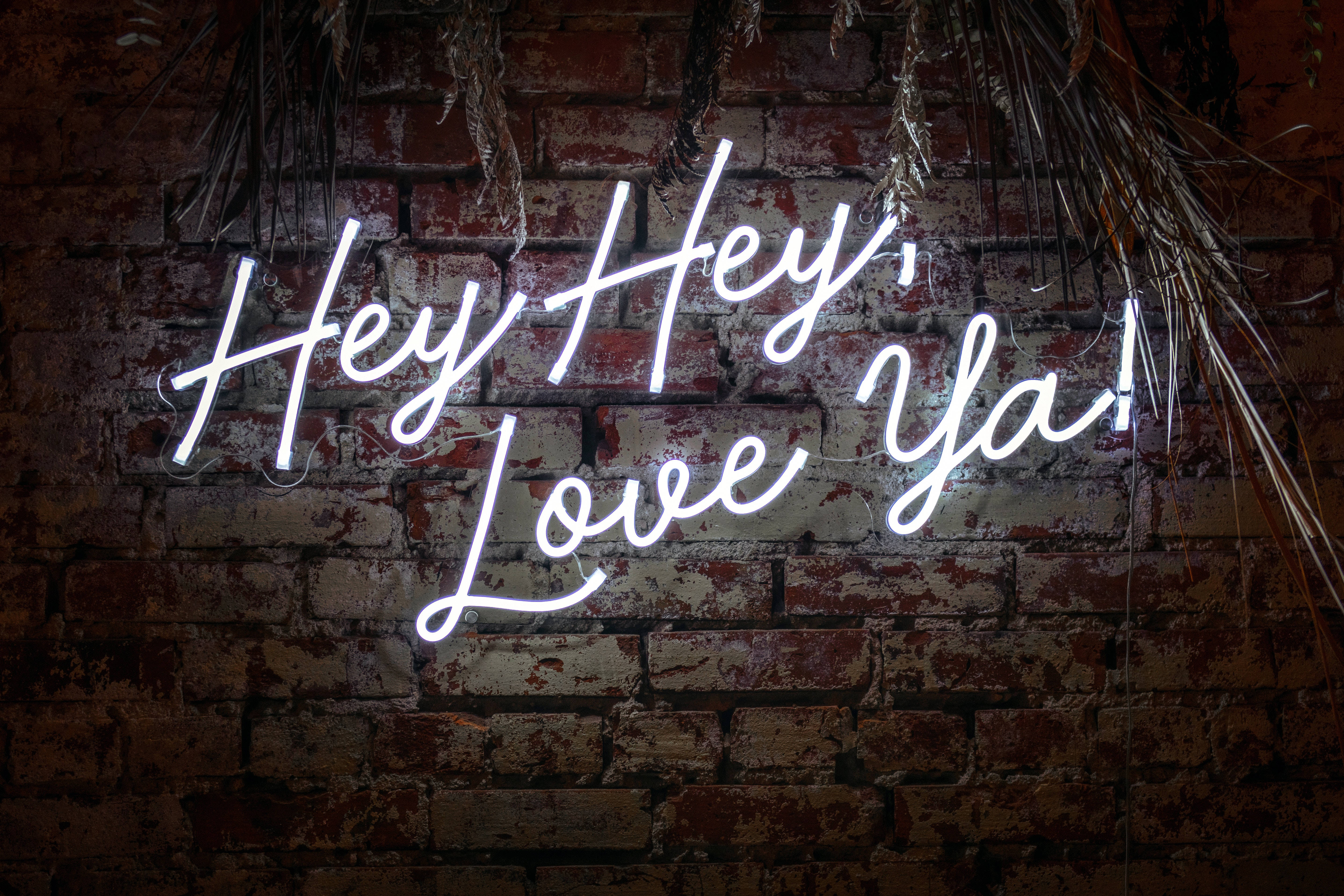 Word 桌布 壁紙 — 一個發光的白色霓虹燈牌，上面寫著「Hey Hey Love Ya!」，照亮了一面裝飾著乾燥棕櫚葉的風化磚牆。