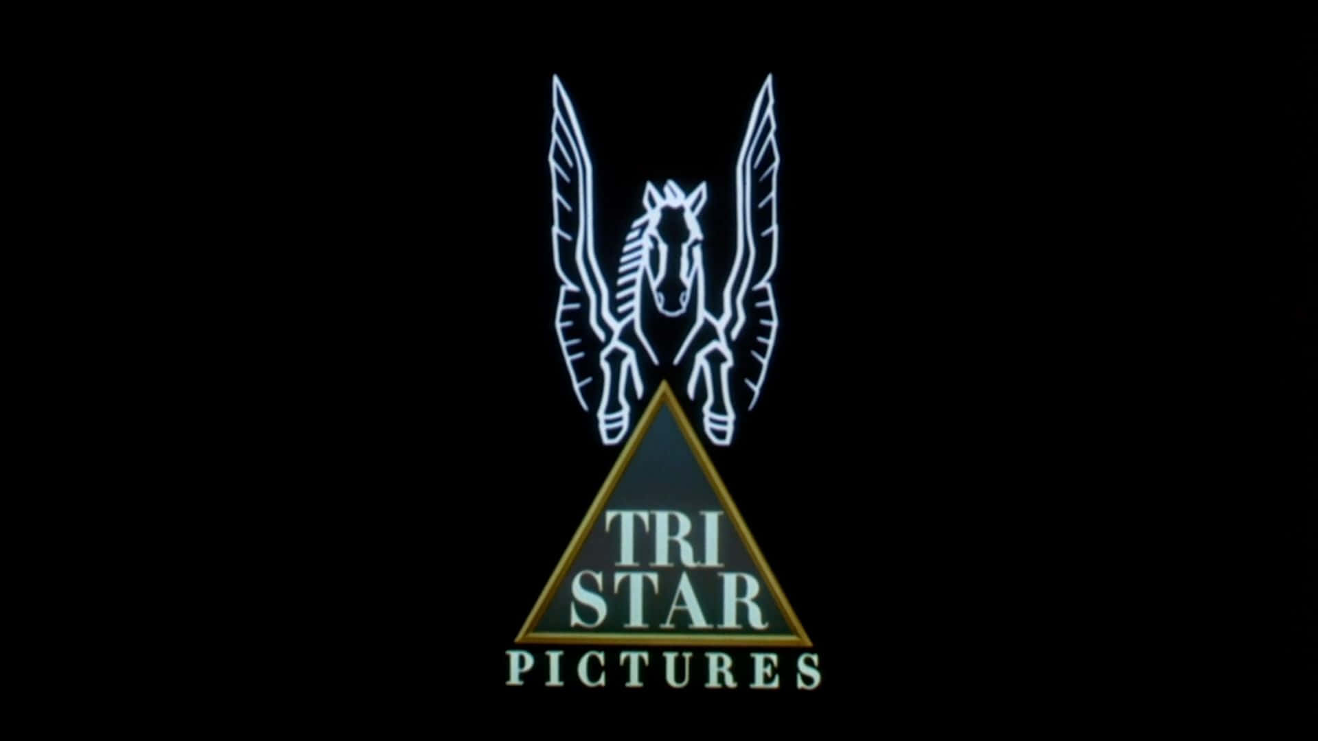 電影 桌布 壁紙 — 一個發光的白色飛馬標誌，金色三角形內有「TriStar Pictures」文字，背景為黑色。