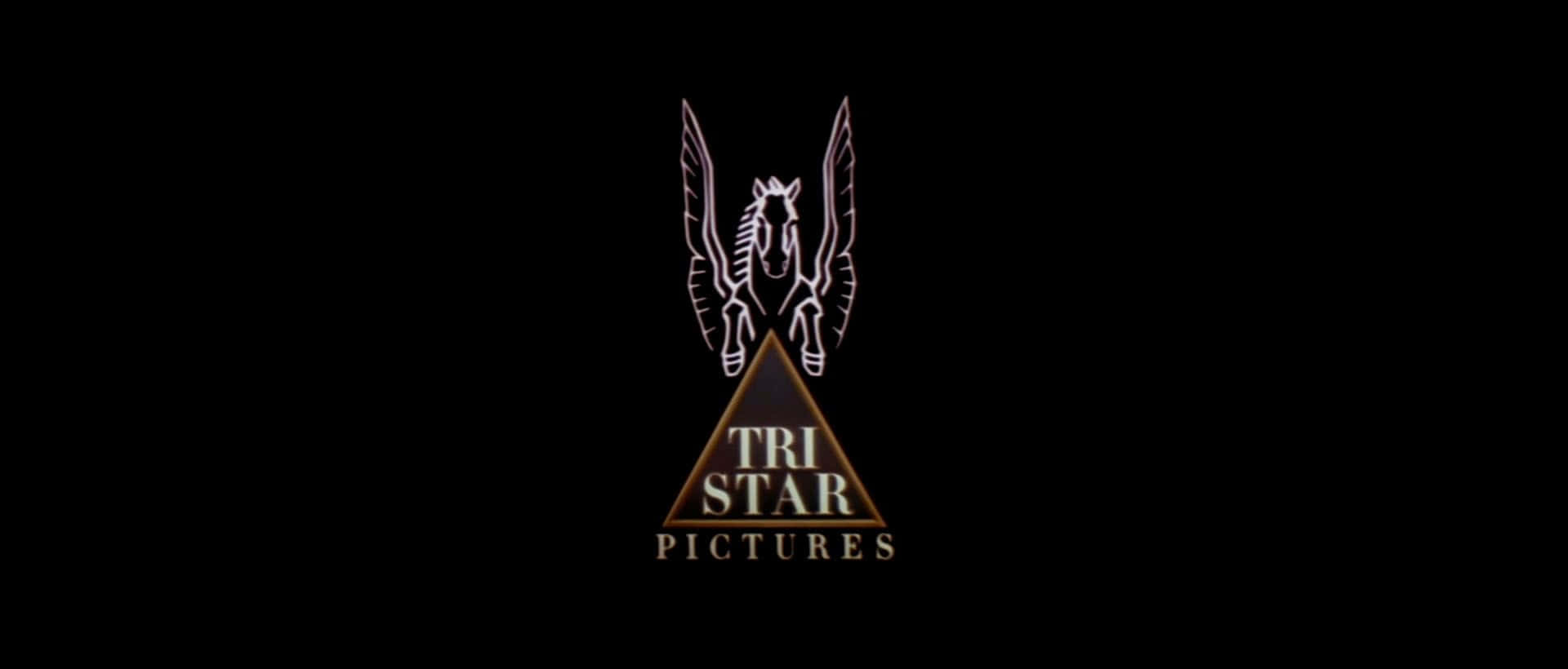 電影 桌布 壁紙 — 一個發光的白色飛馬標誌，金色三角形內有「Tri Star Pictures」文字，背景為黑色。