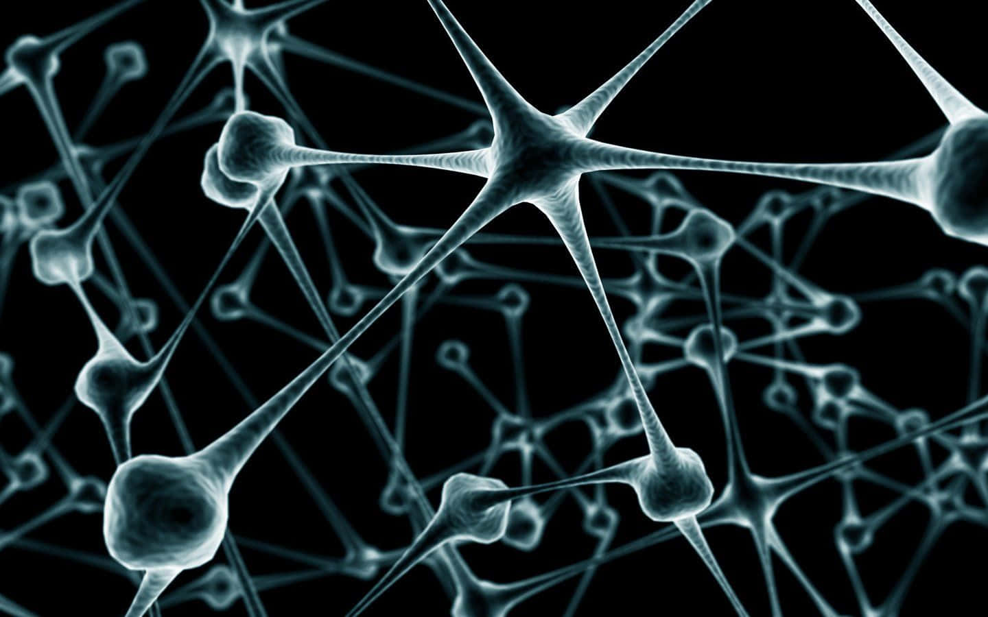 biology 桌布 壁紙 — 一個發光的相互連接的神經元網絡，帶有分支樹突，背景為黑色。