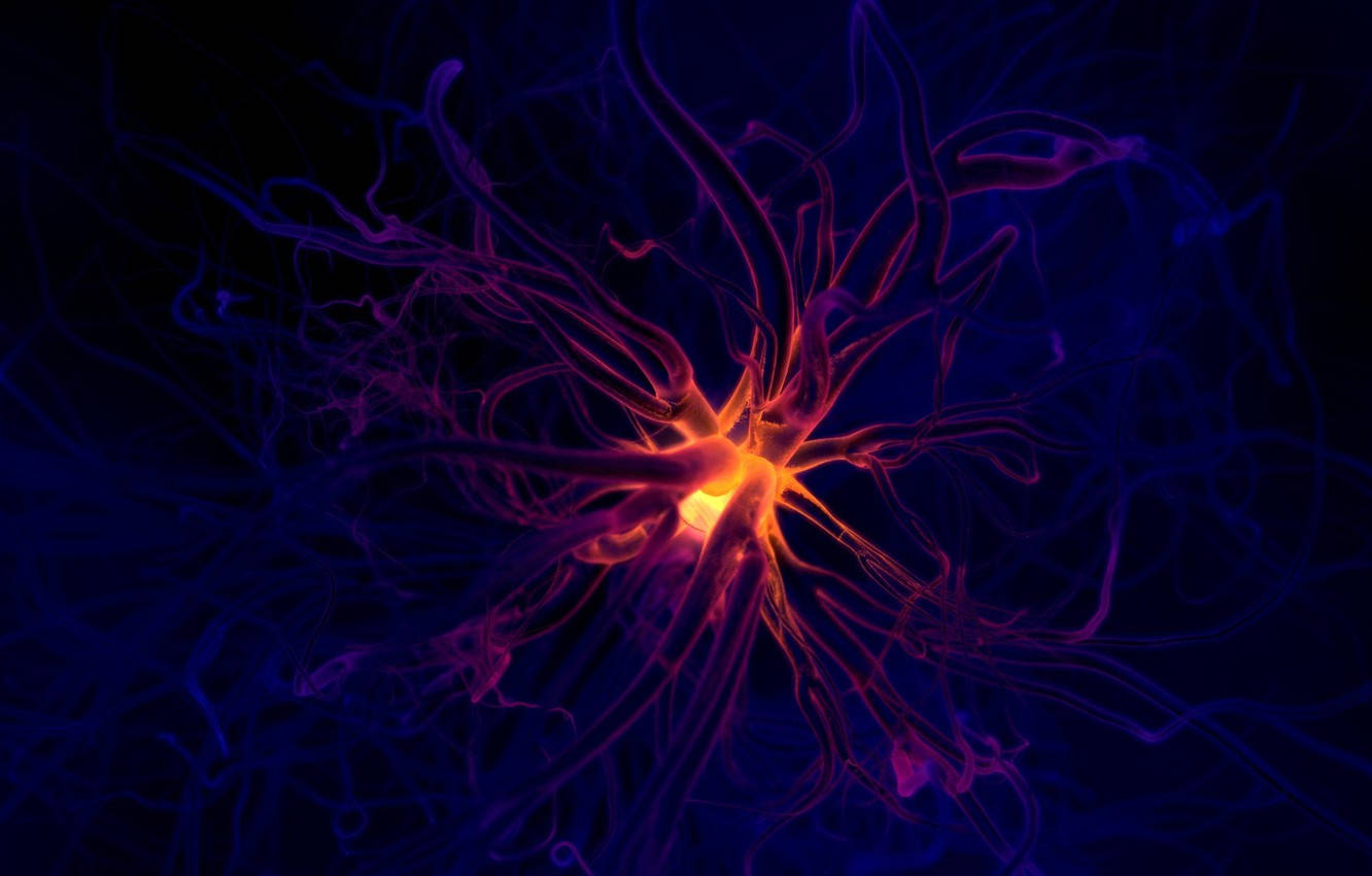 Brain 桌布 壁紙 — 一個發光的神經元，帶有火熱的橙色核心和電紫色觸手，在深藍色的虛空中放射光芒。
