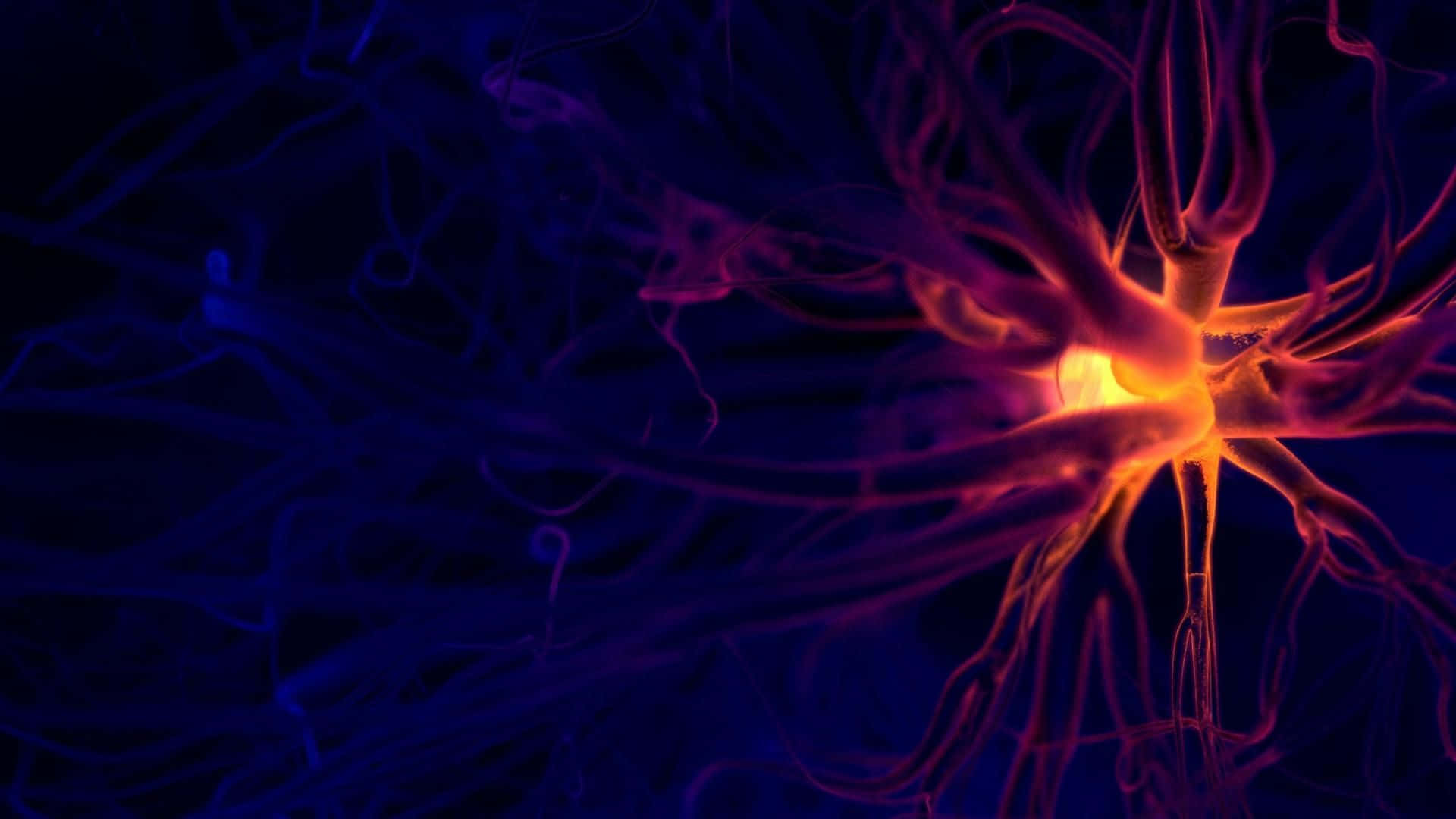 Plasma 桌布 壁紙 — 一個發光的神經元，帶有火熱的橙色核心和分支樹突，在深藍色的神經網絡背景上脈動。