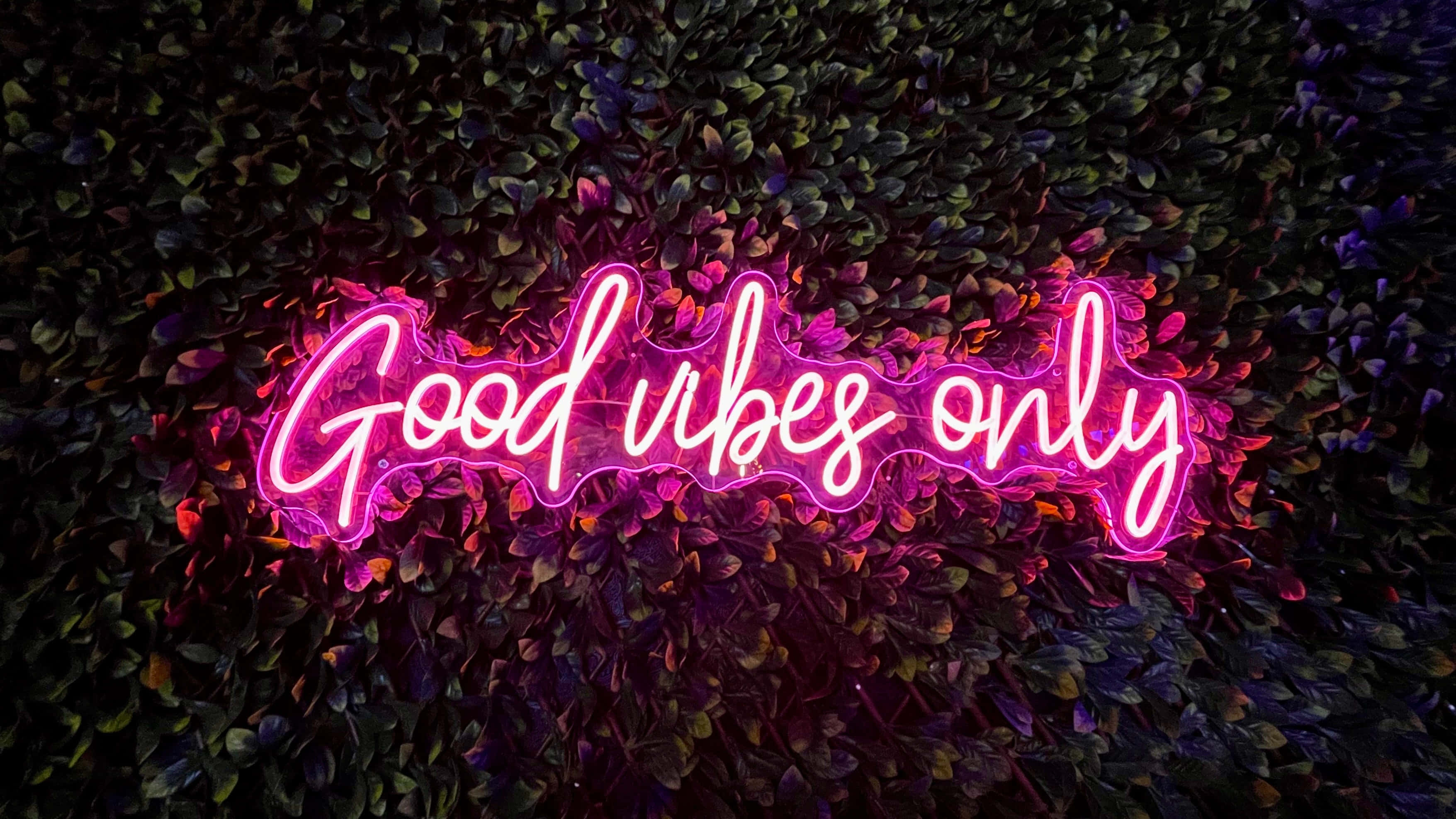 Cute Neon Pink 桌布 壁紙 — 一個發光的粉紅色霓虹燈牌，上面寫著 'Good vibes only'，在黑暗的葉牆上閃耀。
