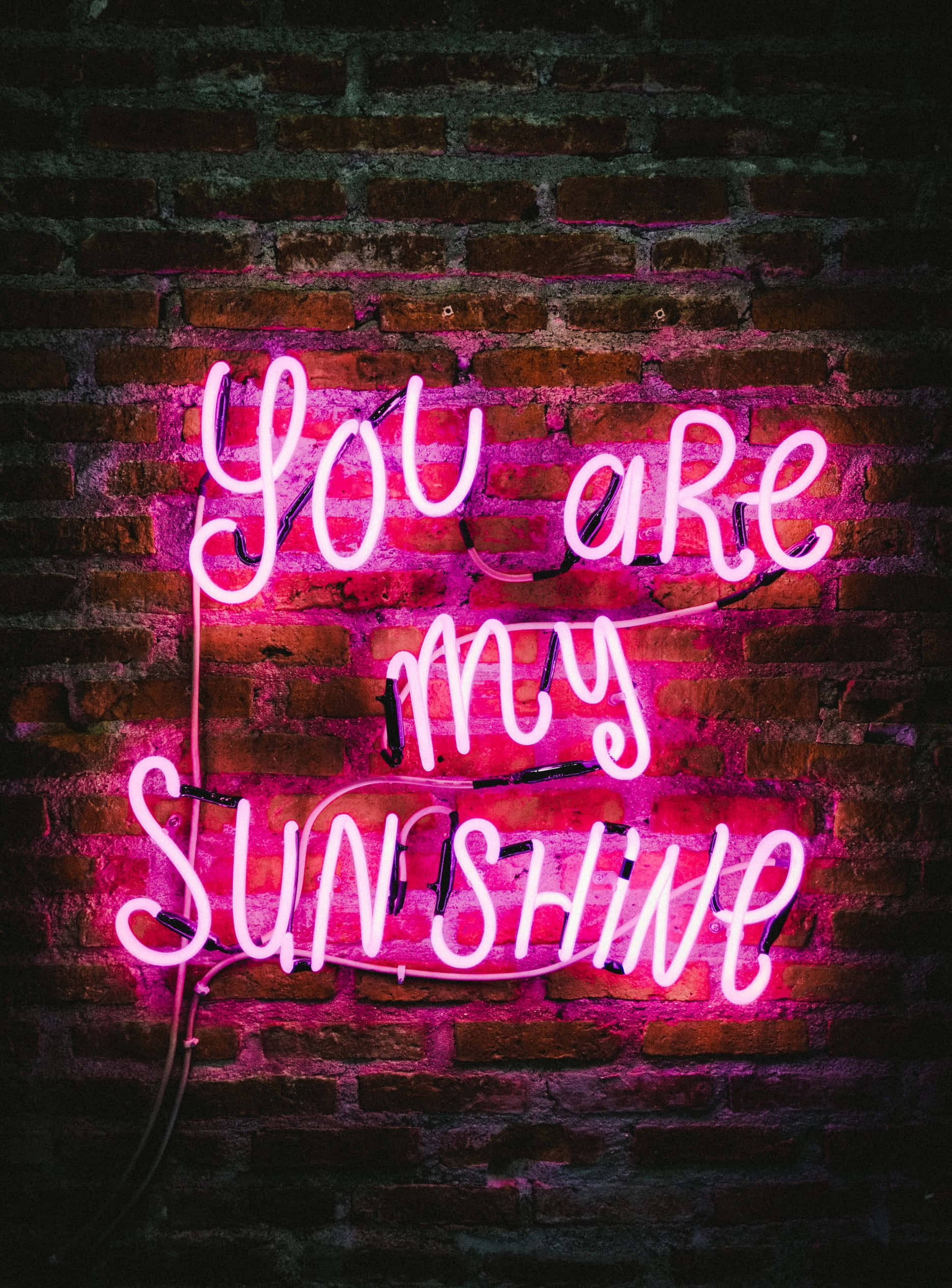 霓虹美學 桌布 壁紙 — 一個發光的粉紅色霓虹燈牌，上面寫著「You are my Sunshine」，以充滿活力的溫暖照亮了深色的磚牆。