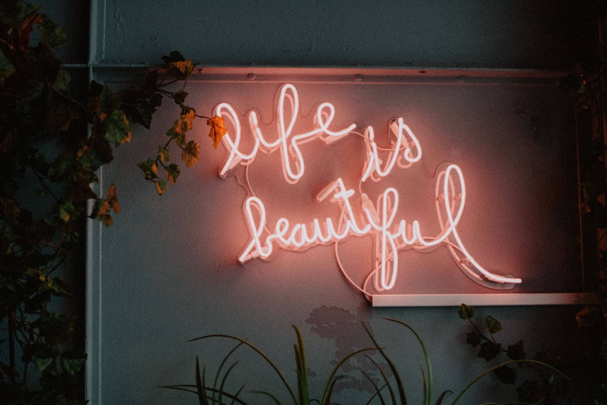 玫瑰金 桌布 壁紙 — 一個發光的粉紅色霓虹燈牌，上面寫著「life is beautiful」，在灰色牆壁上投射出溫暖的光線，牆壁被綠色常春藤和植物環繞。