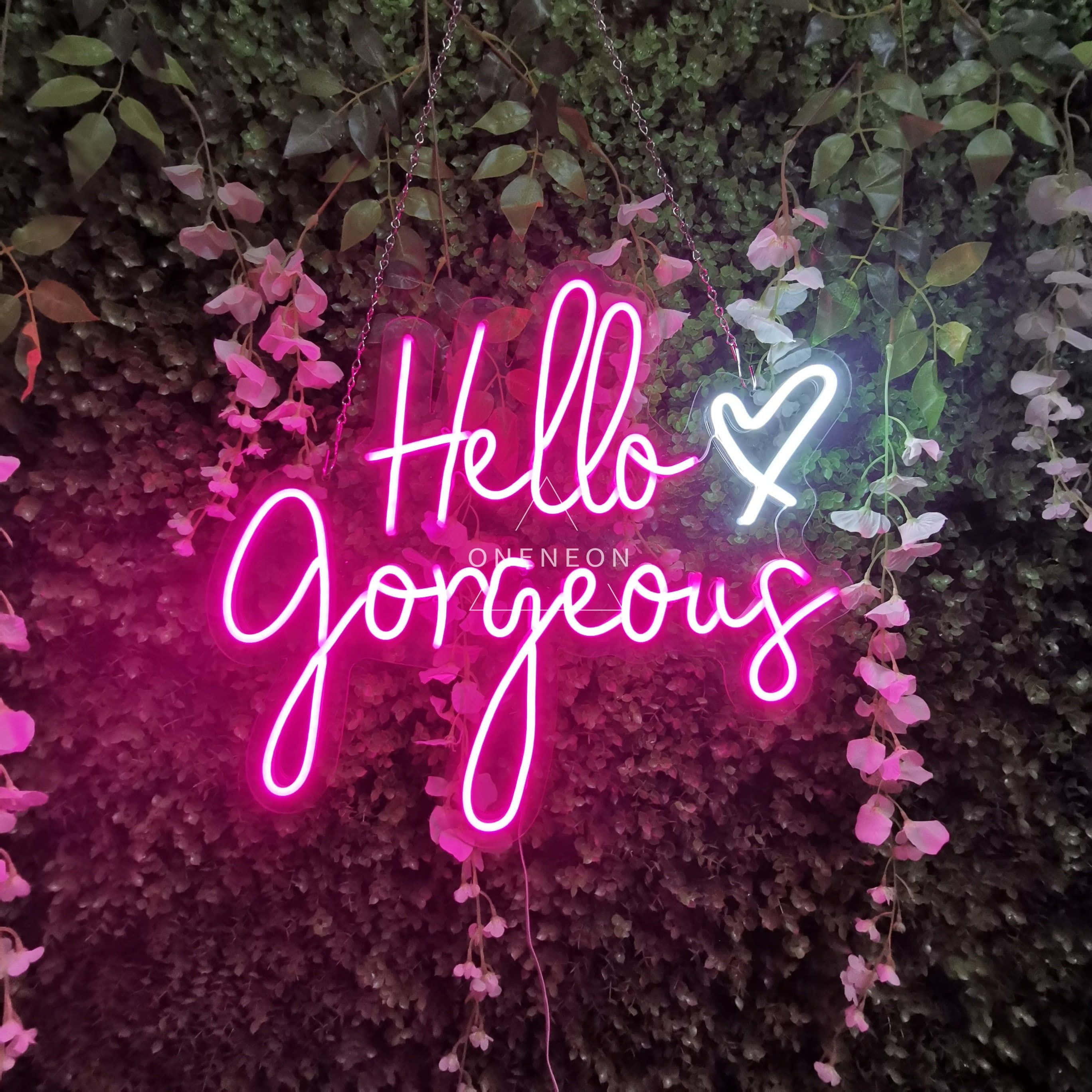 cover 桌布 壁紙 — 一個發光的粉紅色霓虹燈牌，上面寫著「Hello Gorgeous」並有一個心形，懸掛在茂密的綠葉和粉紅色花朵之間。