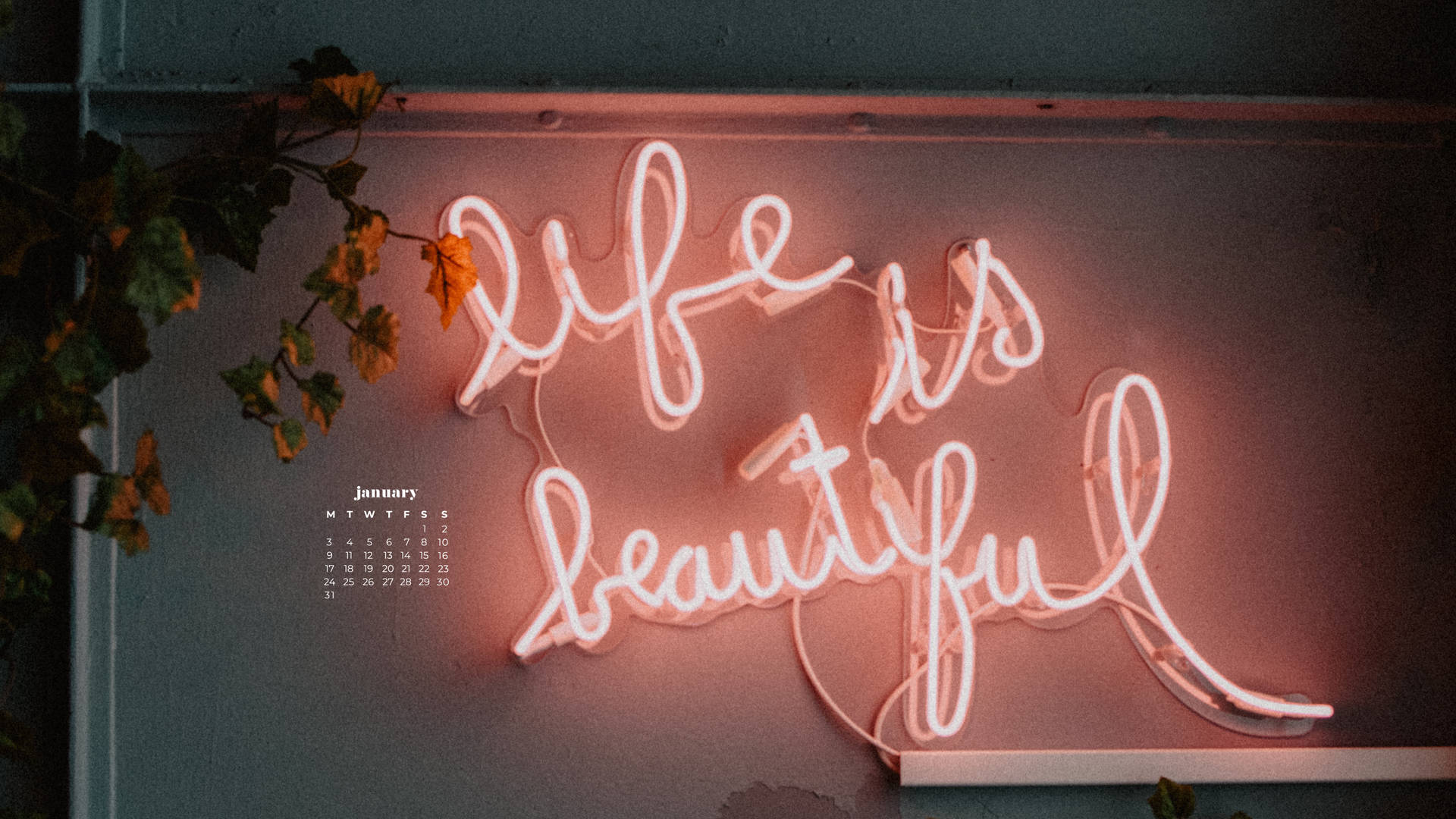 粉紅色霓虹燈牌寫著life is beautiful，附有日曆和秋葉。 — 一月 GIF 壁紙