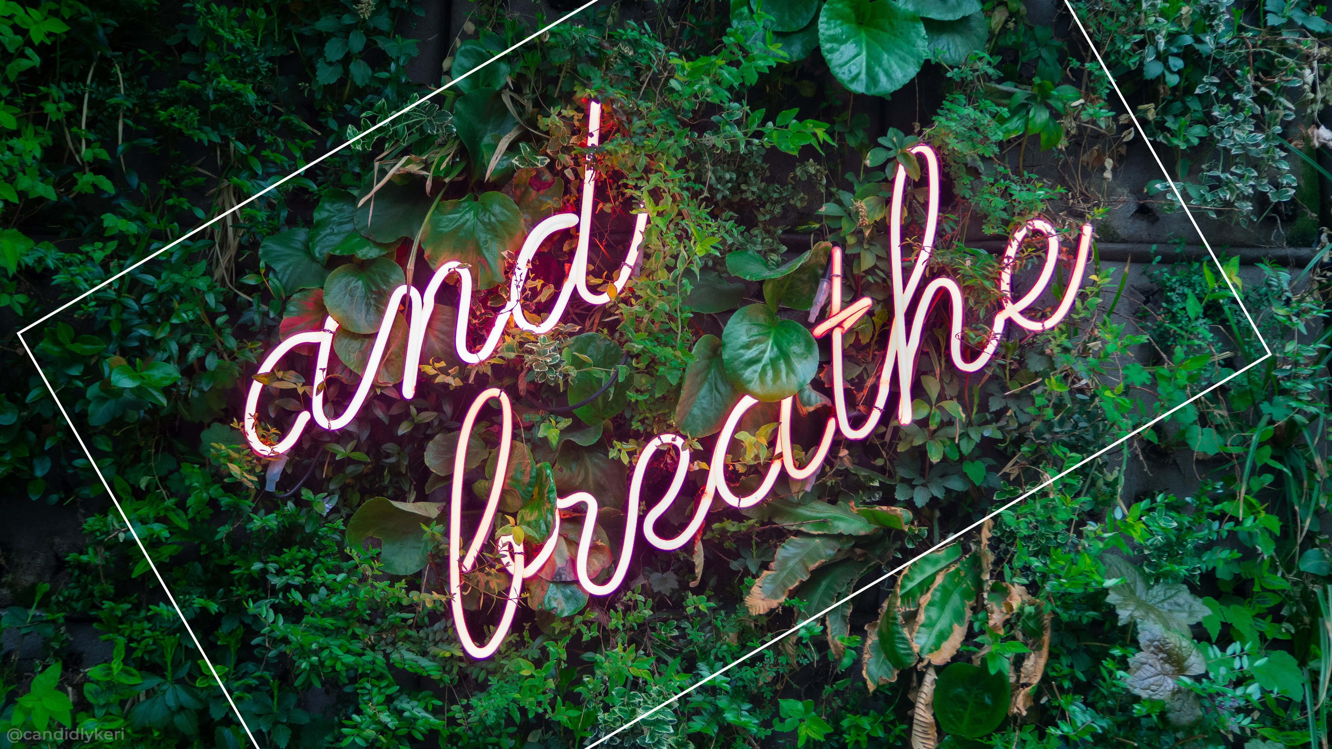 桌布 壁紙 — 一個發光的粉紅色霓虹燈牌，上面寫著「and breathe」，穿過鑽石框架中茂密的綠色樹葉閃耀。