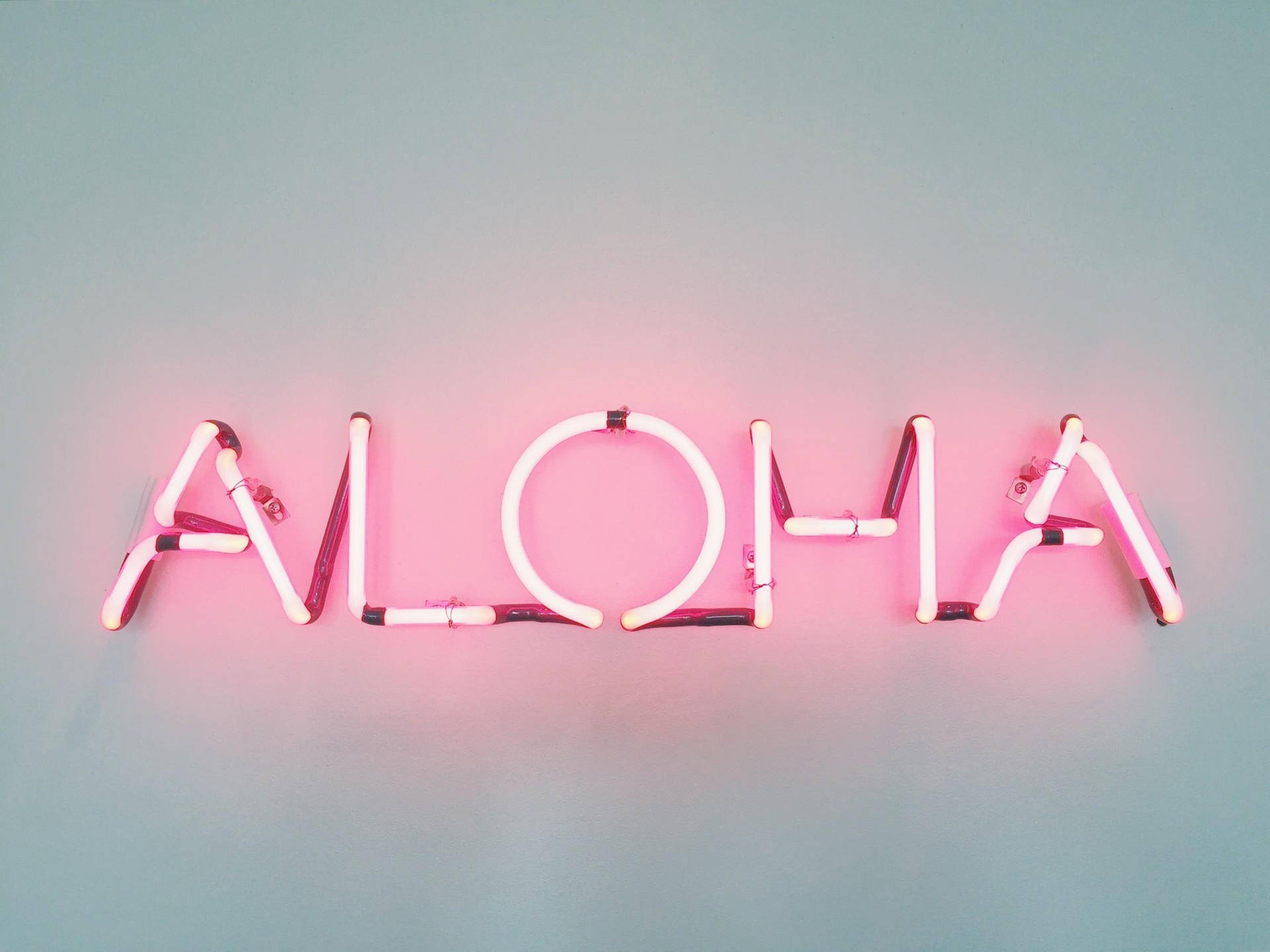 indie aesthetic laptop 桌布 壁紙 — 一個發光的粉紅色霓虹燈牌，上面拼寫著「ALOHA」，在柔和的青綠色牆壁上投射出柔和的光芒。