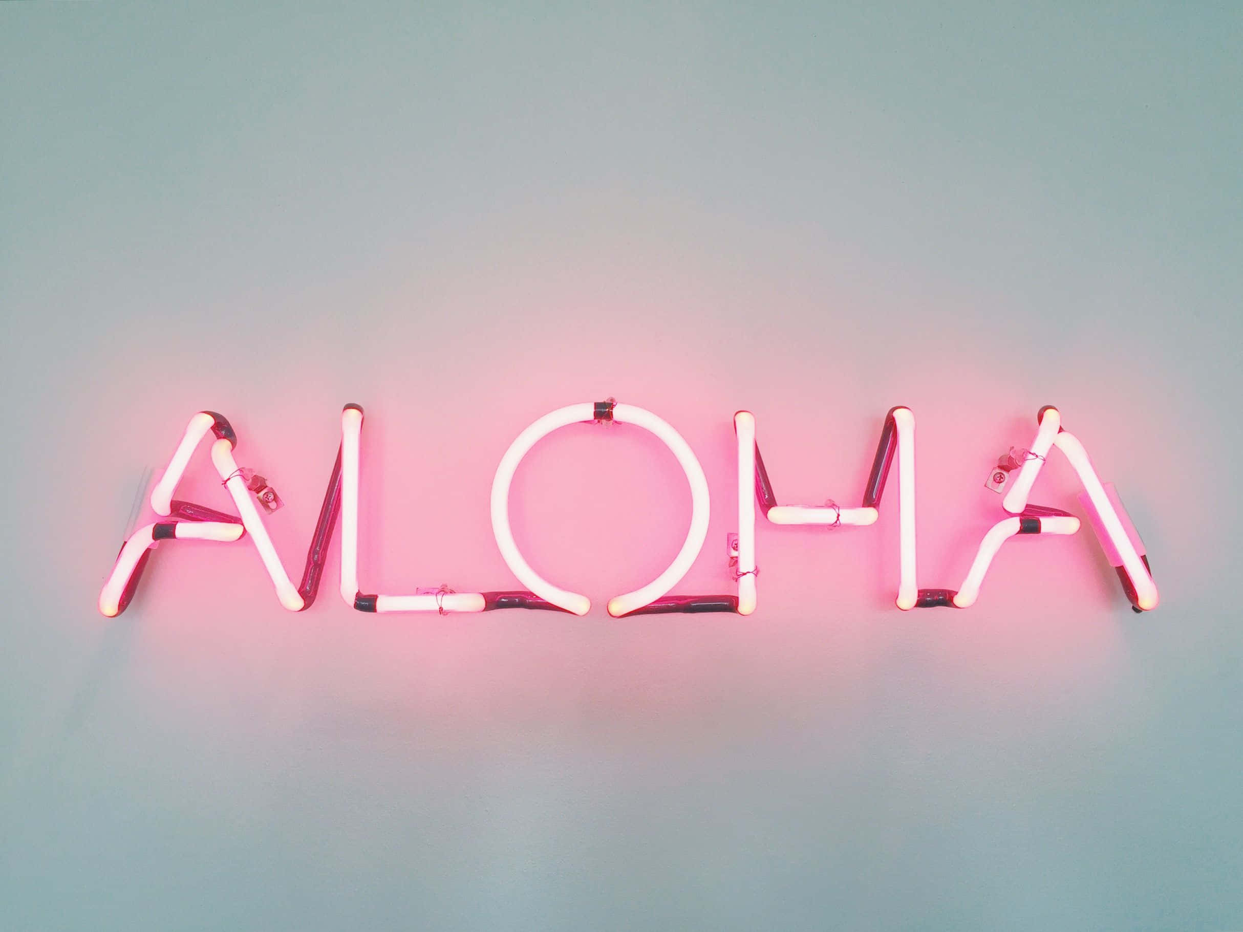 美學粉色GIF 桌布 壁紙 — 一個發光的粉紅色霓虹燈牌，上面拼寫著「ALOHA」，在清涼的藍色牆壁上投射出柔和溫暖的光芒。