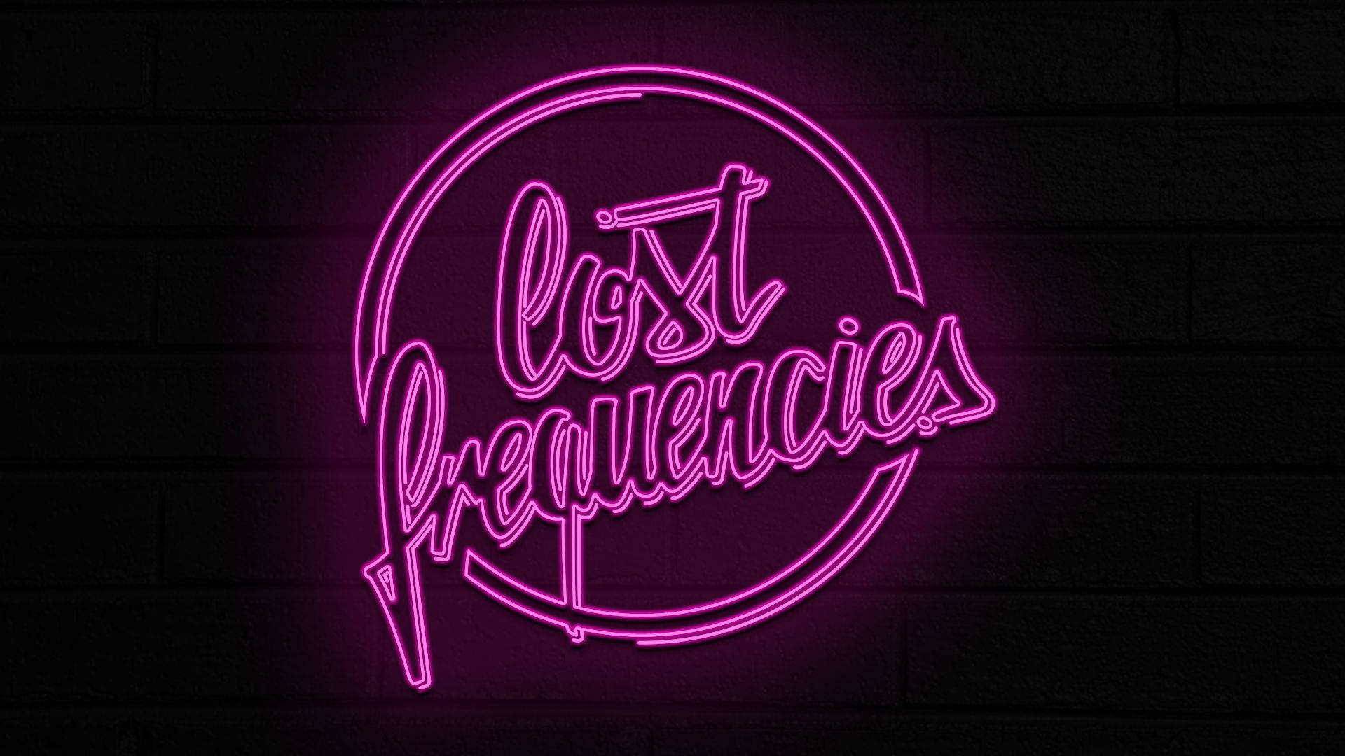 lost 桌布 壁紙 — 一個發光的粉紅色霓虹燈牌，圓圈內以草書寫著 'Lost Frequencies'，安裝在深色磚牆上。