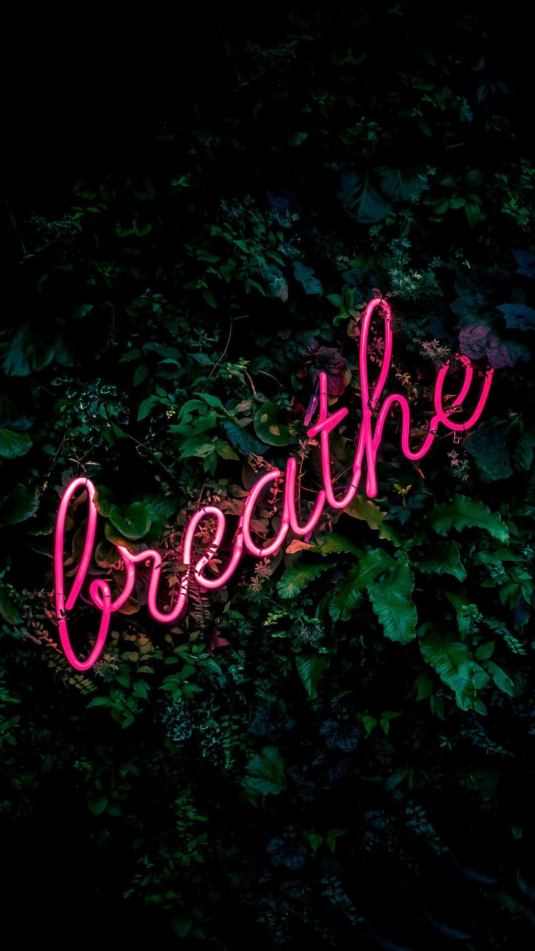 語錄 桌布 壁紙 — 一個發光的粉紅色霓虹燈牌，拼寫著 breathe，從茂密的深綠色樹葉中顯現出來，營造出陰鬱的夜晚氛圍。